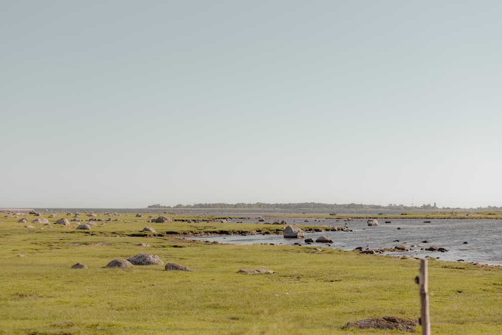 a field with rocks and grass