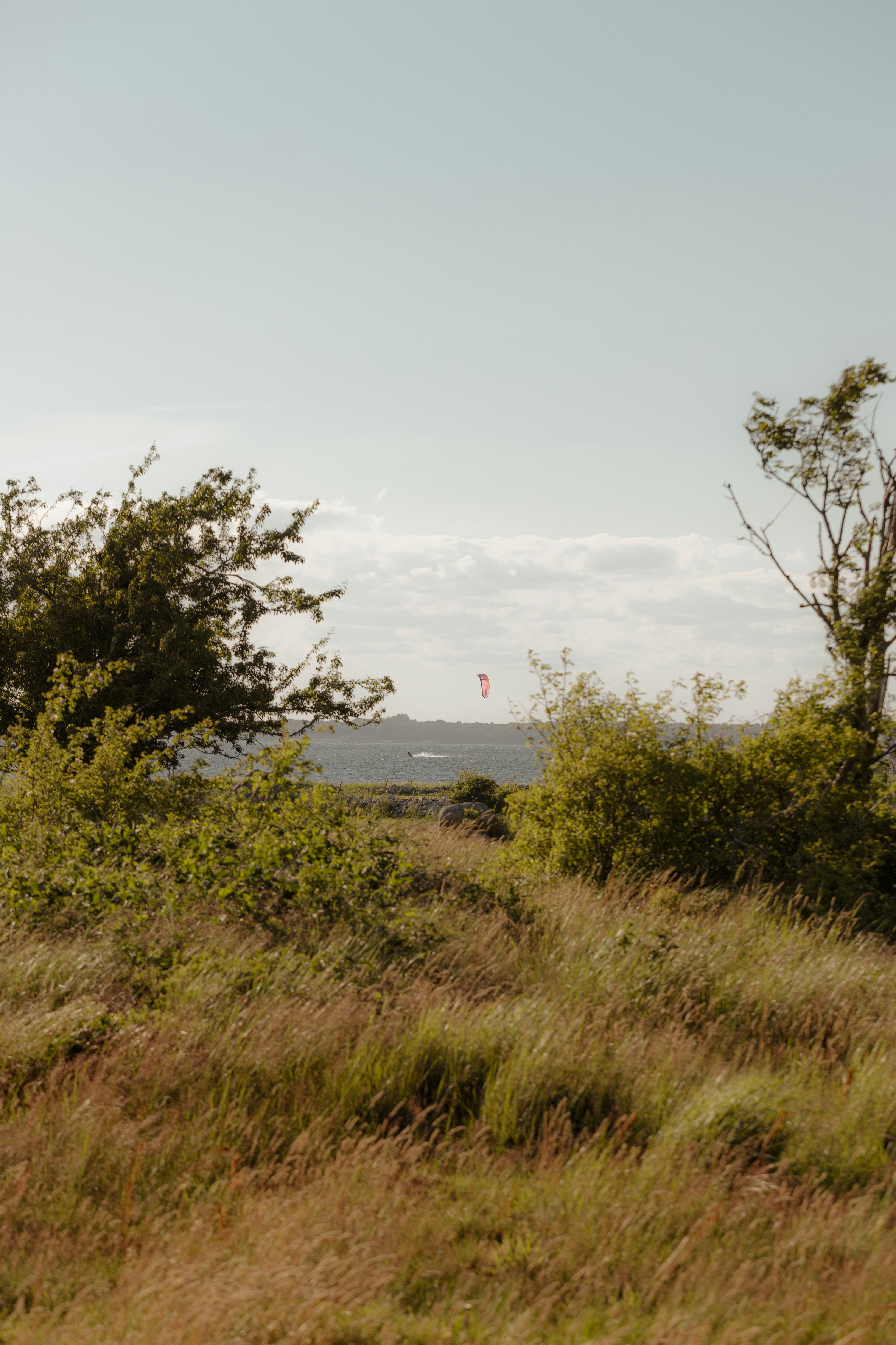 Photo by karlhornfeldt