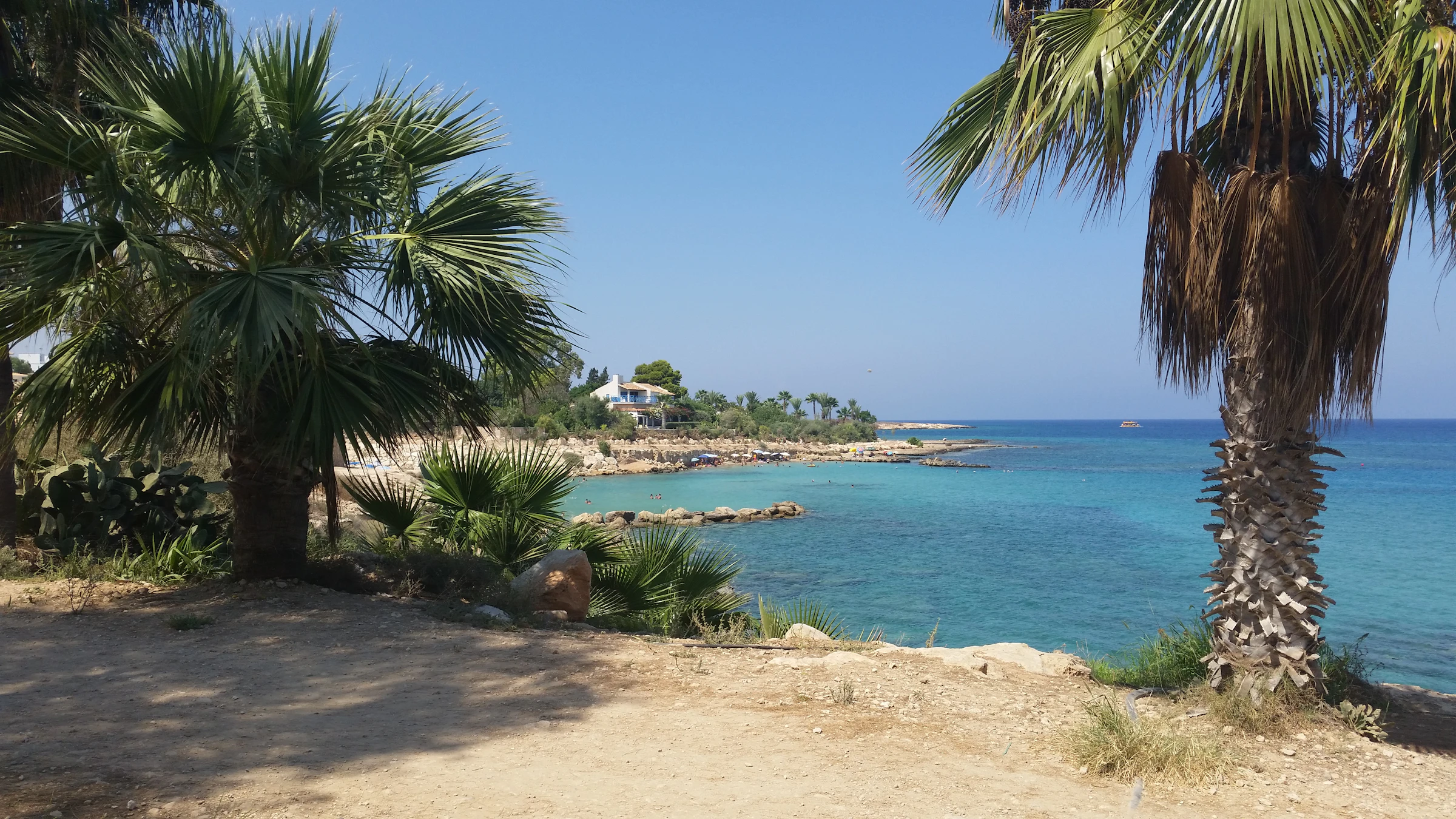 Palm trees framing the rocky Protaras shoreline with clear turquoise water and a white house on the headland beyond