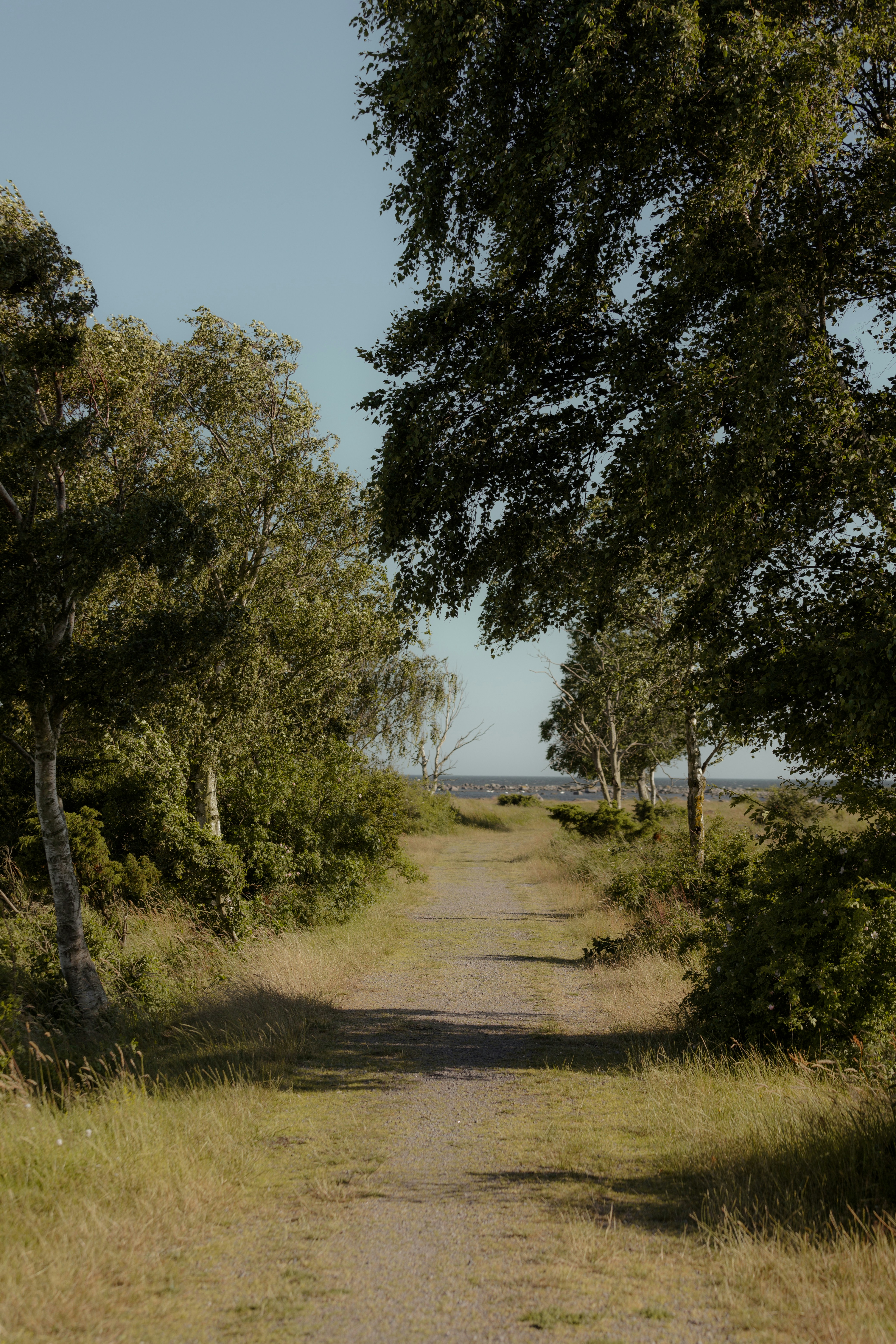 Photo by karlhornfeldt