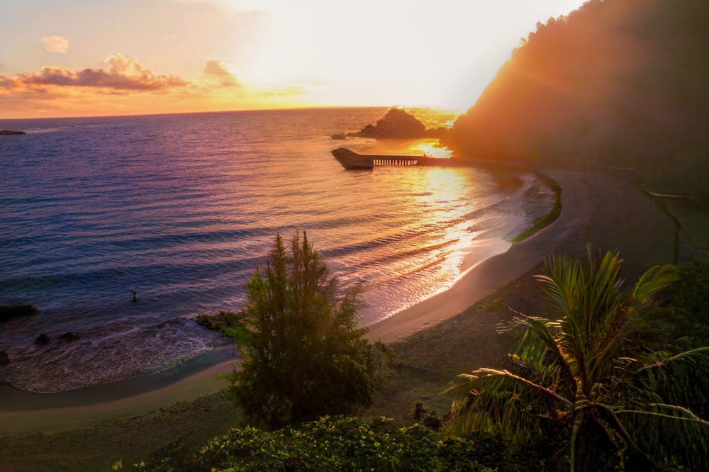 a beach with a body of water and a land with trees