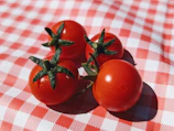 Bright red tomatoes glistening with morning dew on a rustic table.