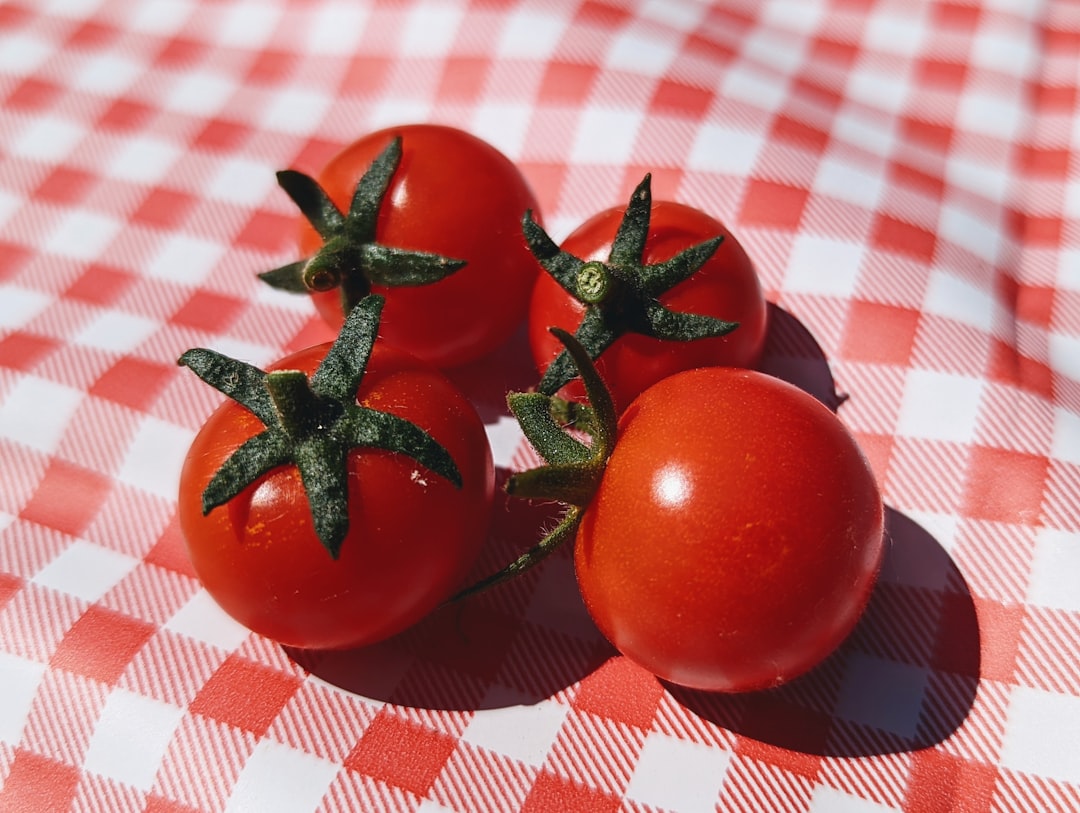 台灣番茄怎麼稱呼？營養價值豐富，維他命P含量最高，還有別名「甘仔密」和「臭柿子」