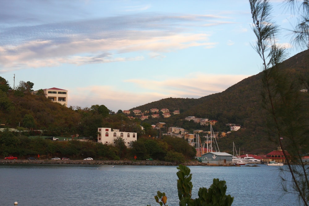 a body of water with buildings and trees around it