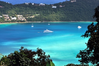 A picturesque view of a tranquil bay with turquoise waters, surrounded by lush green hills and dotted with several boats, including yachts. Luxury residences are visible along the shoreline in the background, and the scene is framed by tropical foliage in the foreground.