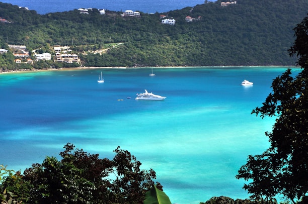 A picturesque view of a tranquil bay with turquoise waters, surrounded by lush green hills and dotted with several boats, including yachts. Luxury residences are visible along the shoreline in the background, and the scene is framed by tropical foliage in the foreground.