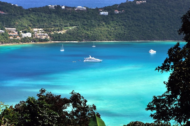 A picturesque view of a tranquil bay with turquoise waters, surrounded by lush green hills and dotted with several boats, including yachts. Luxury residences are visible along the shoreline in the background, and the scene is framed by tropical foliage in the foreground.