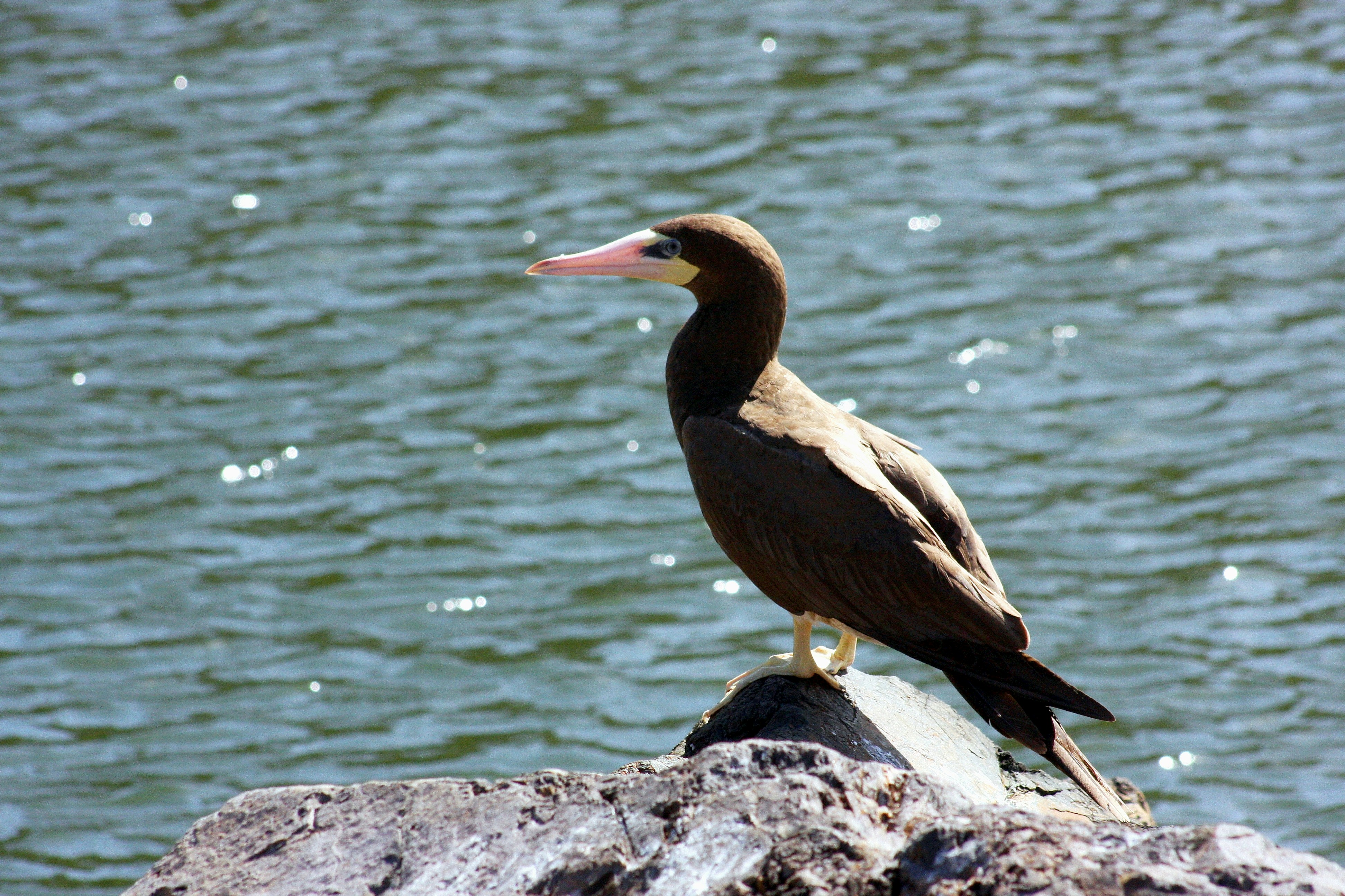 Photo by climatechangevi