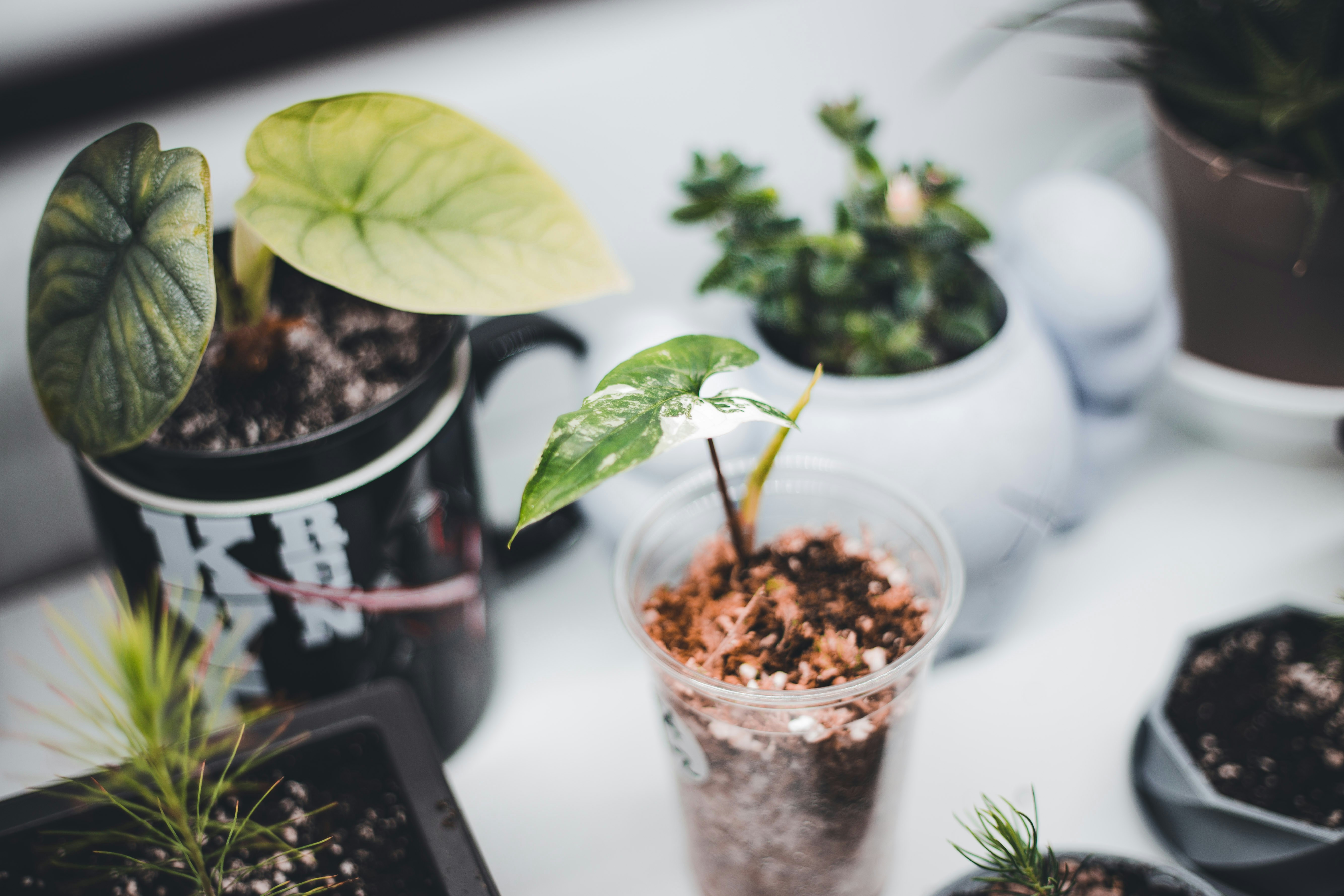 Photo by introspectivedsgn