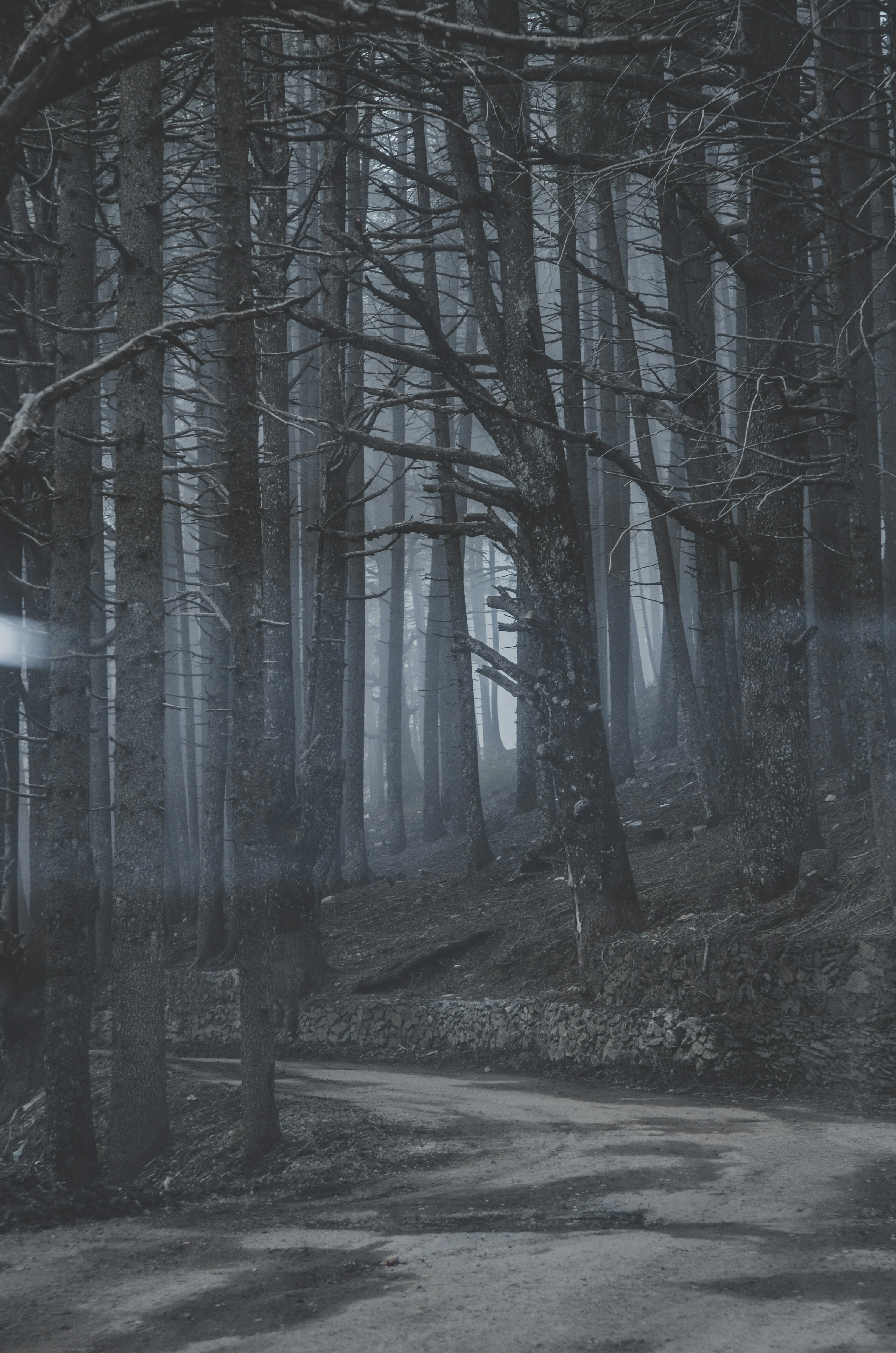 Photo by samiboudjelti