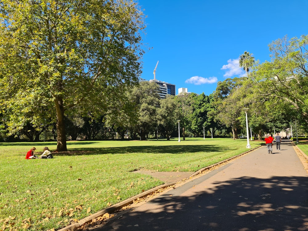 a group of people walking on a path in a park