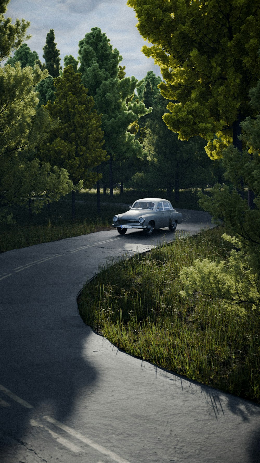 a car on a road with trees on the side