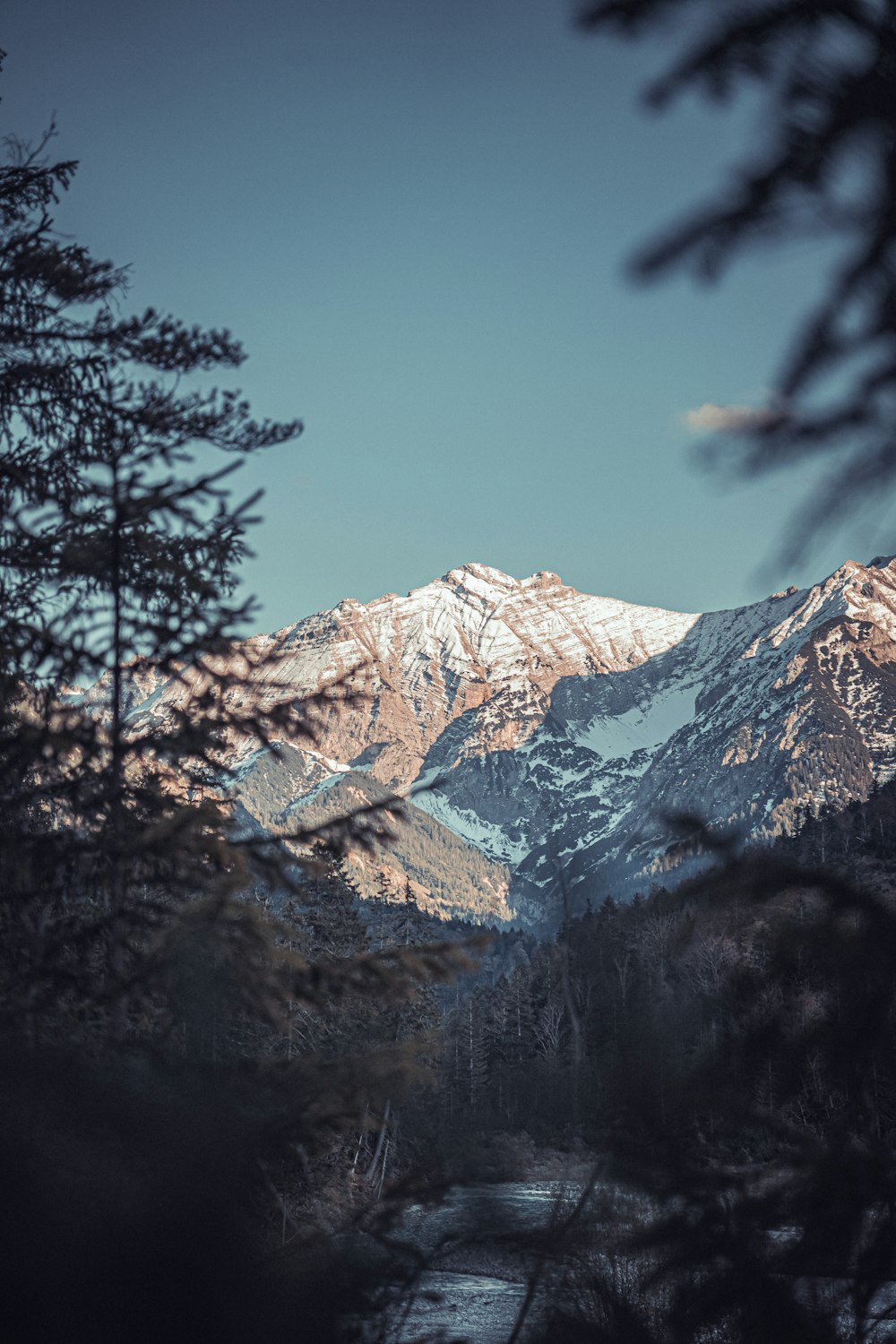 a snowy mountain with trees