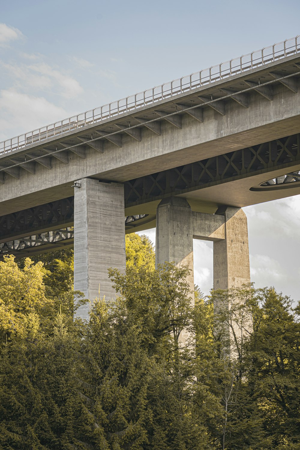 a bridge with trees underneath