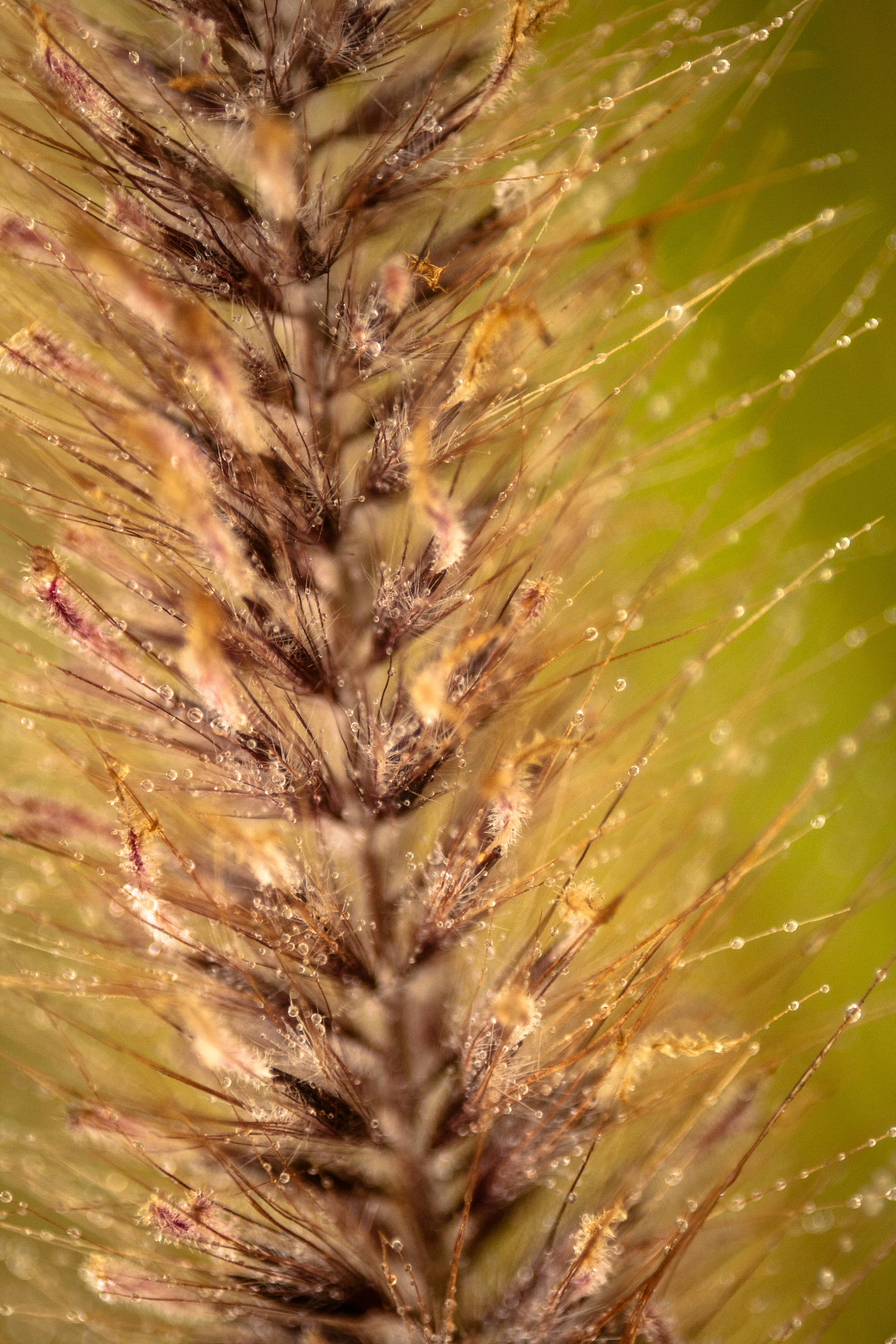 Photo by stephwubben