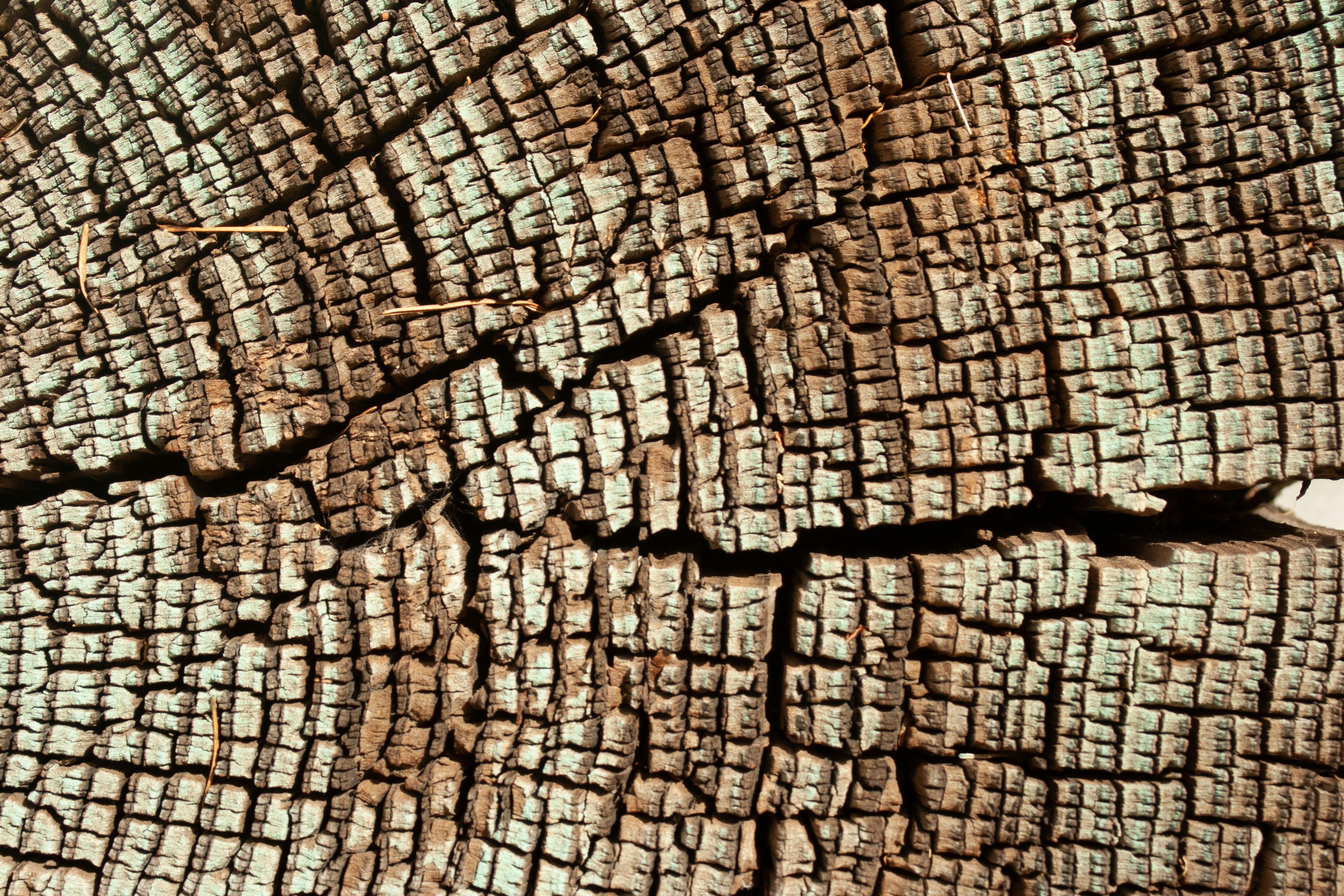 Photo by stephwubben