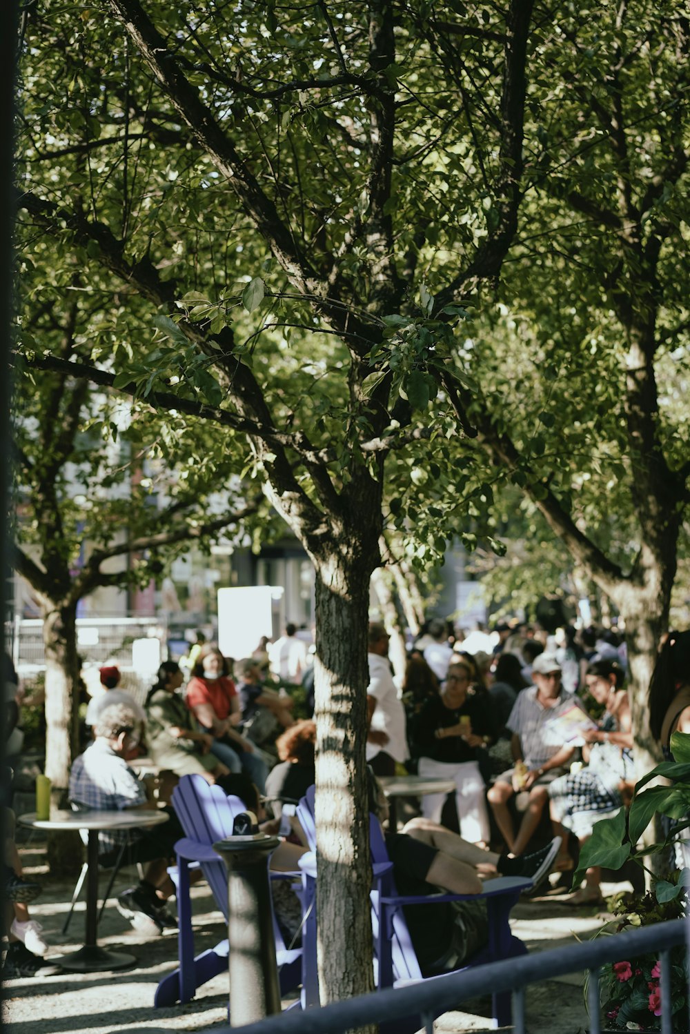 Un grupo de personas sentadas en mesas debajo de un árbol