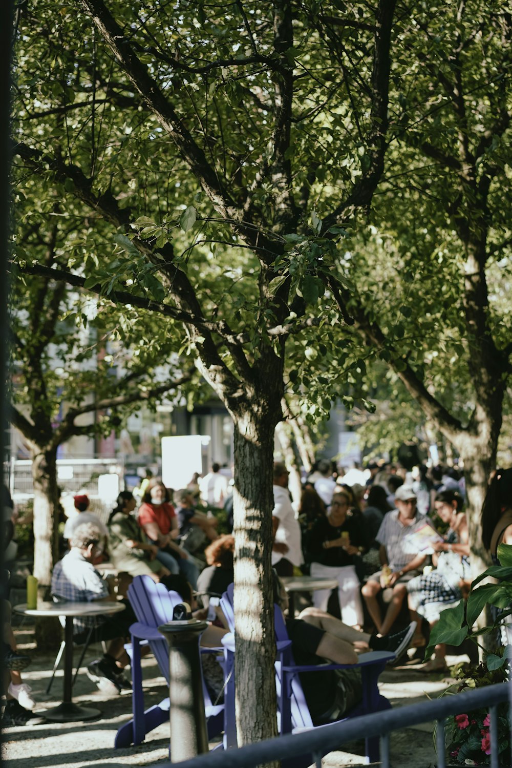 un groupe de personnes assises à des tables sous un arbre