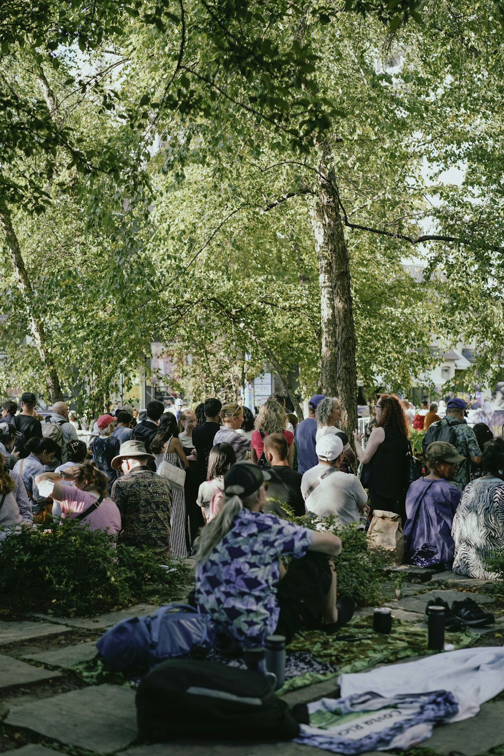 a group of people sitting on the ground under a tree