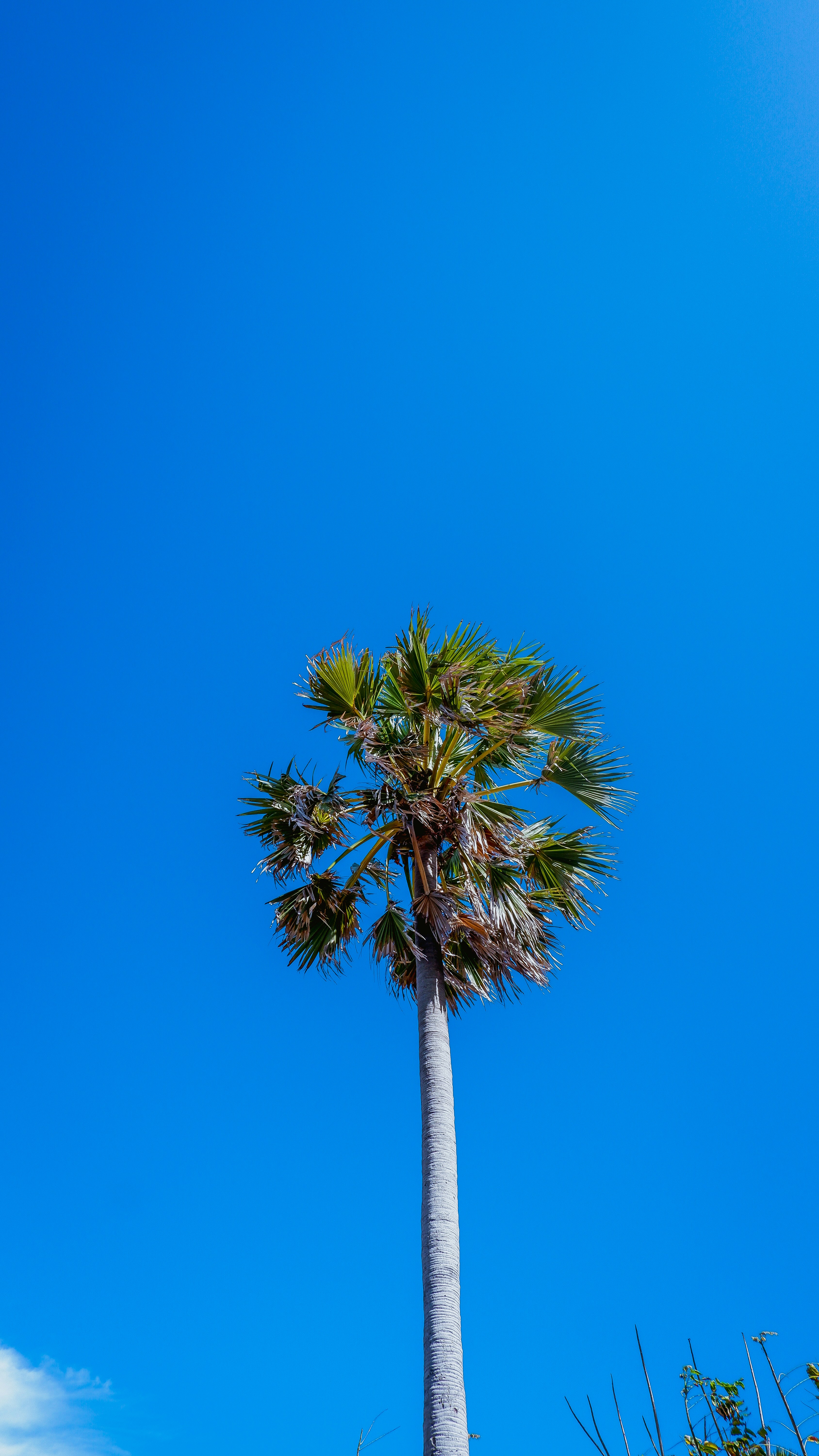 Photo by darkroomspace