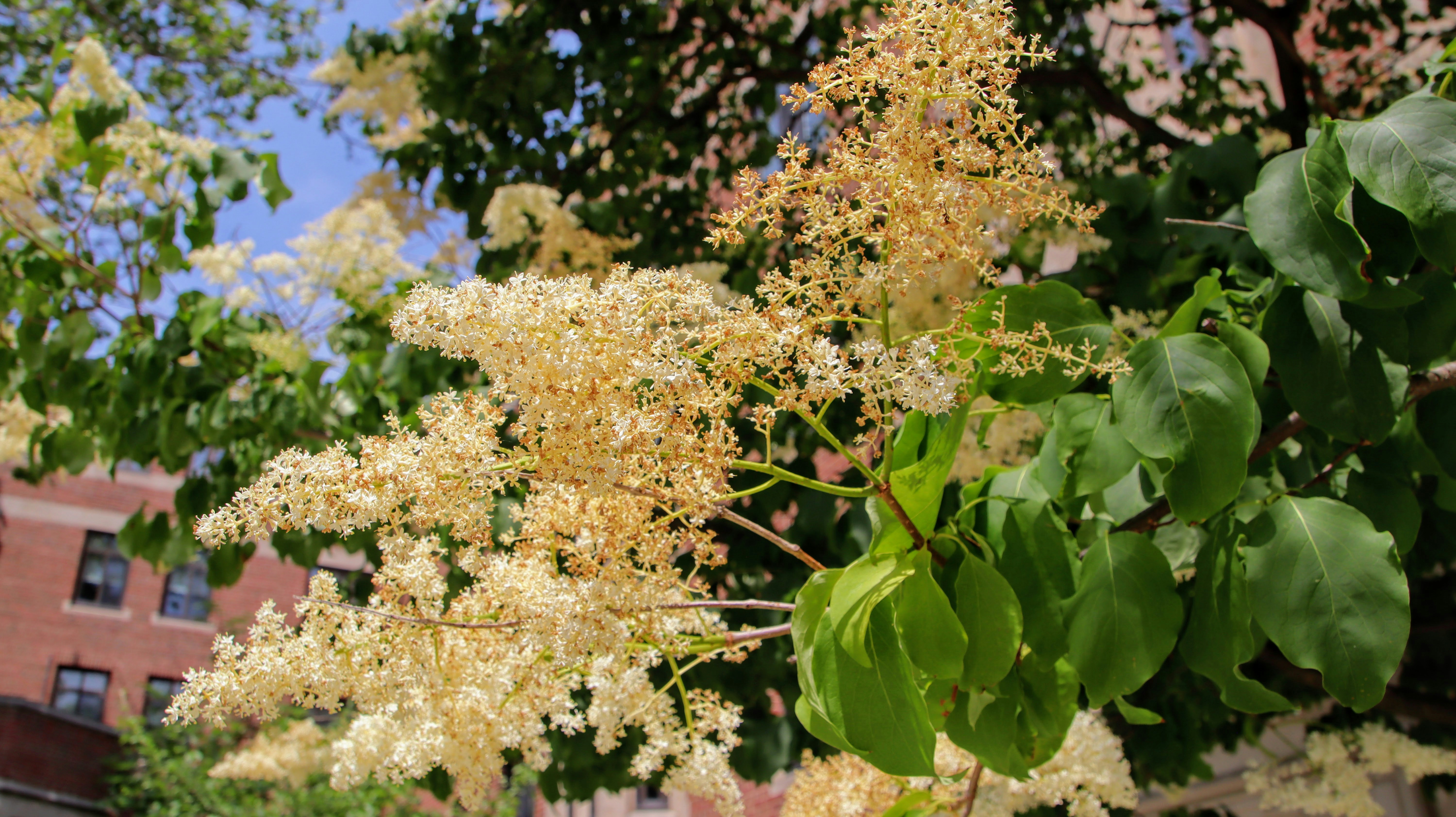 Photo by gordonbybike