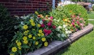 A neatly trimmed garden bed with colorful flowering plants.