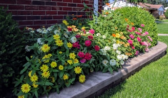 A well-designed garden bed filled with colorful plants and flowers in a sunny yard.