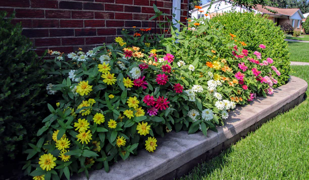 A beautifully designed flower bed bursting with seasonal blooms in a neat suburban garden.