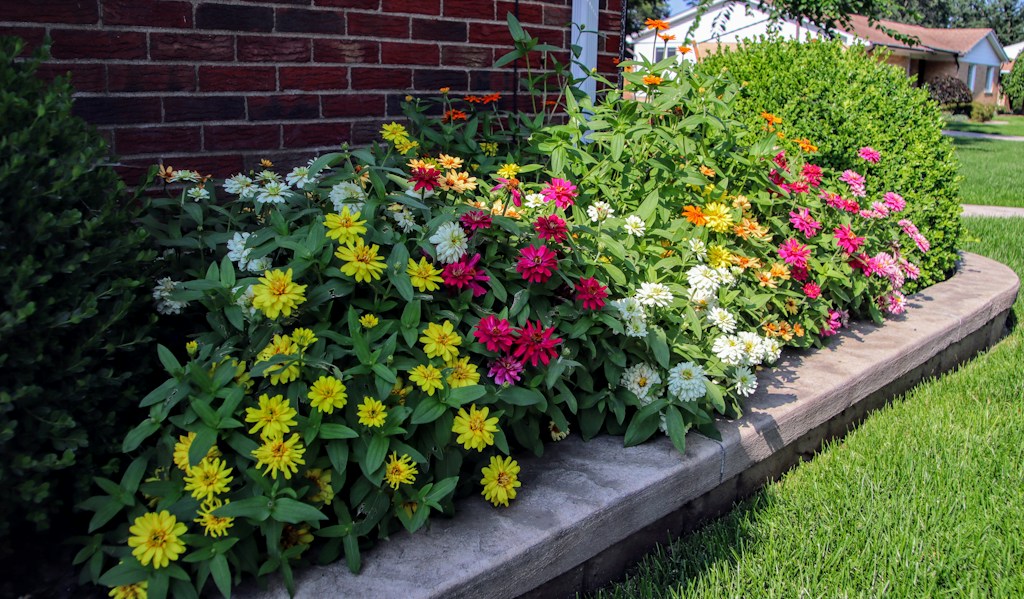 Seasonal Flower Mix