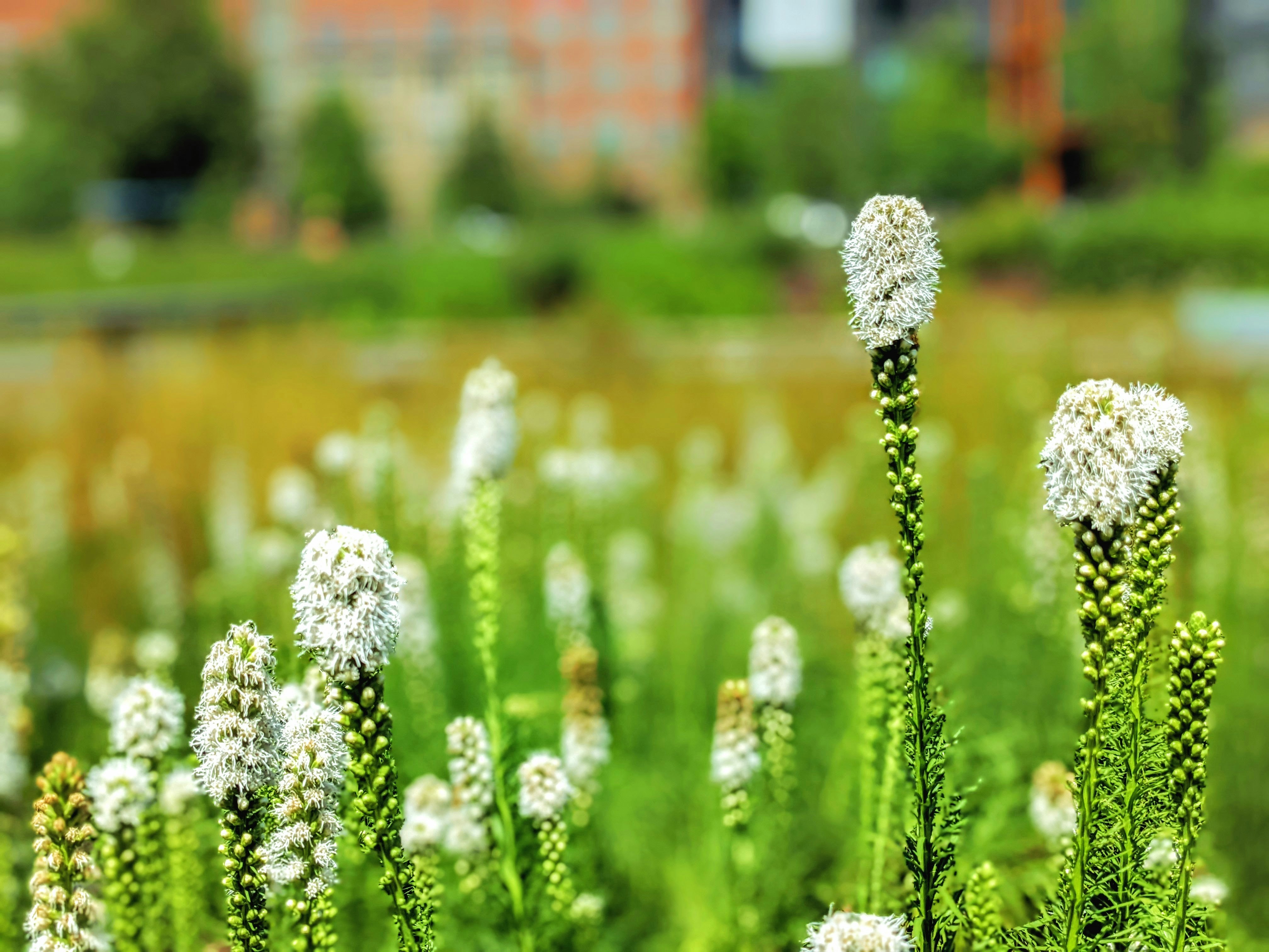 Photo by gordonbybike