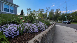 a sidewalk with flowers and a car parked on the side