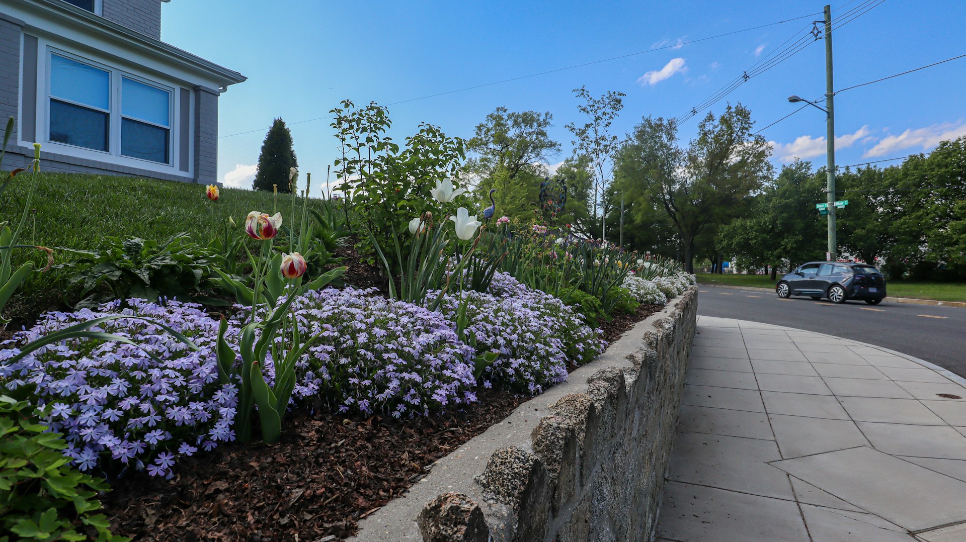 a sidewalk with flowers and a car parked on the side