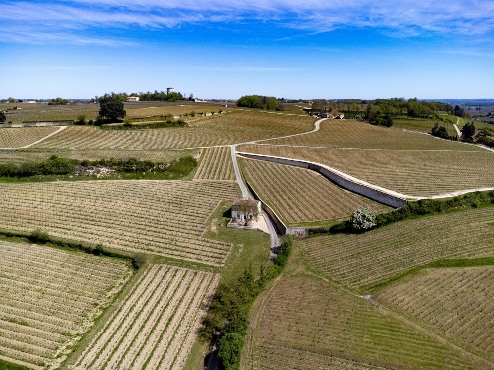 a large field with rows of crops