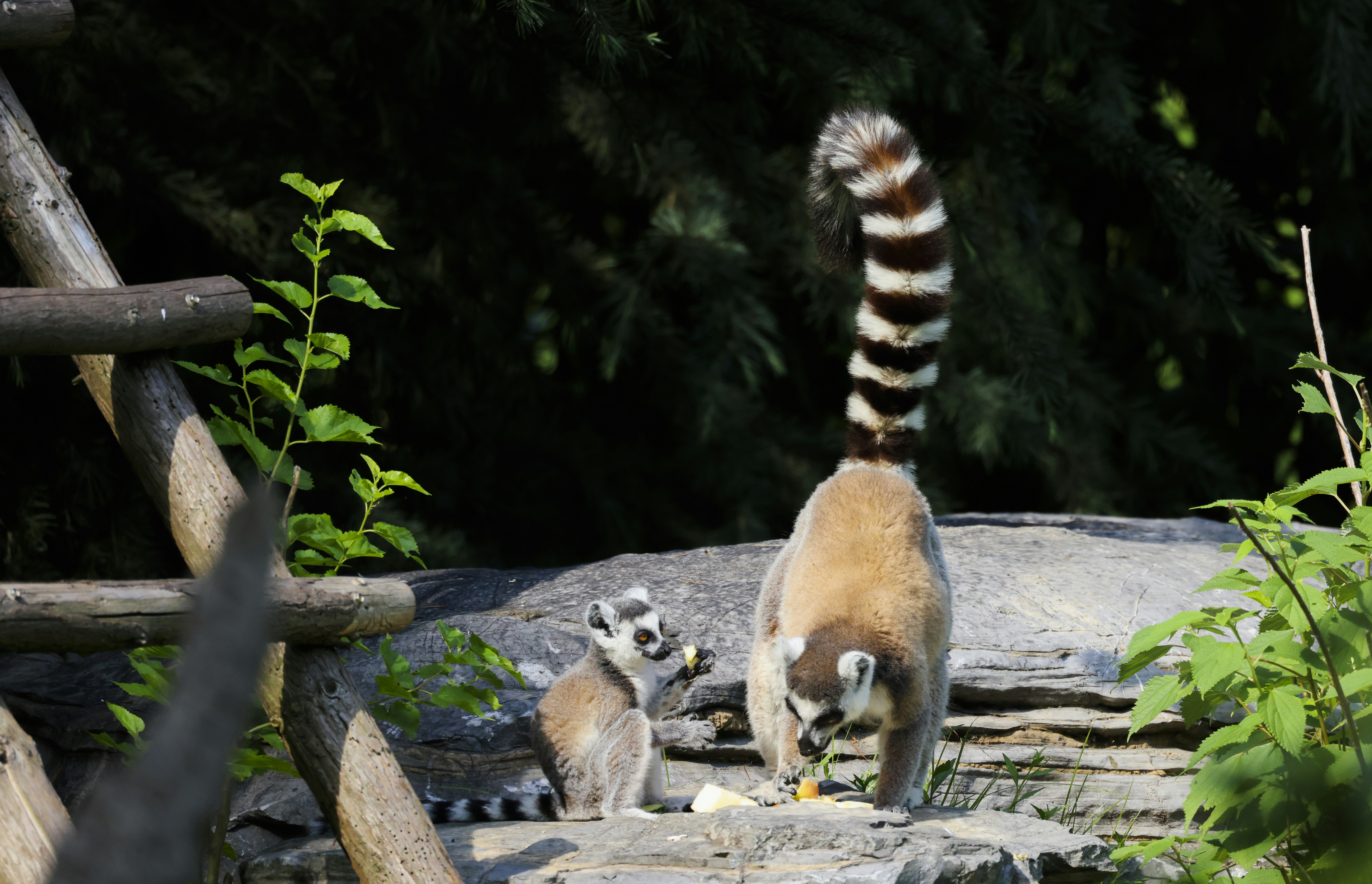 Photo by arttoinspire