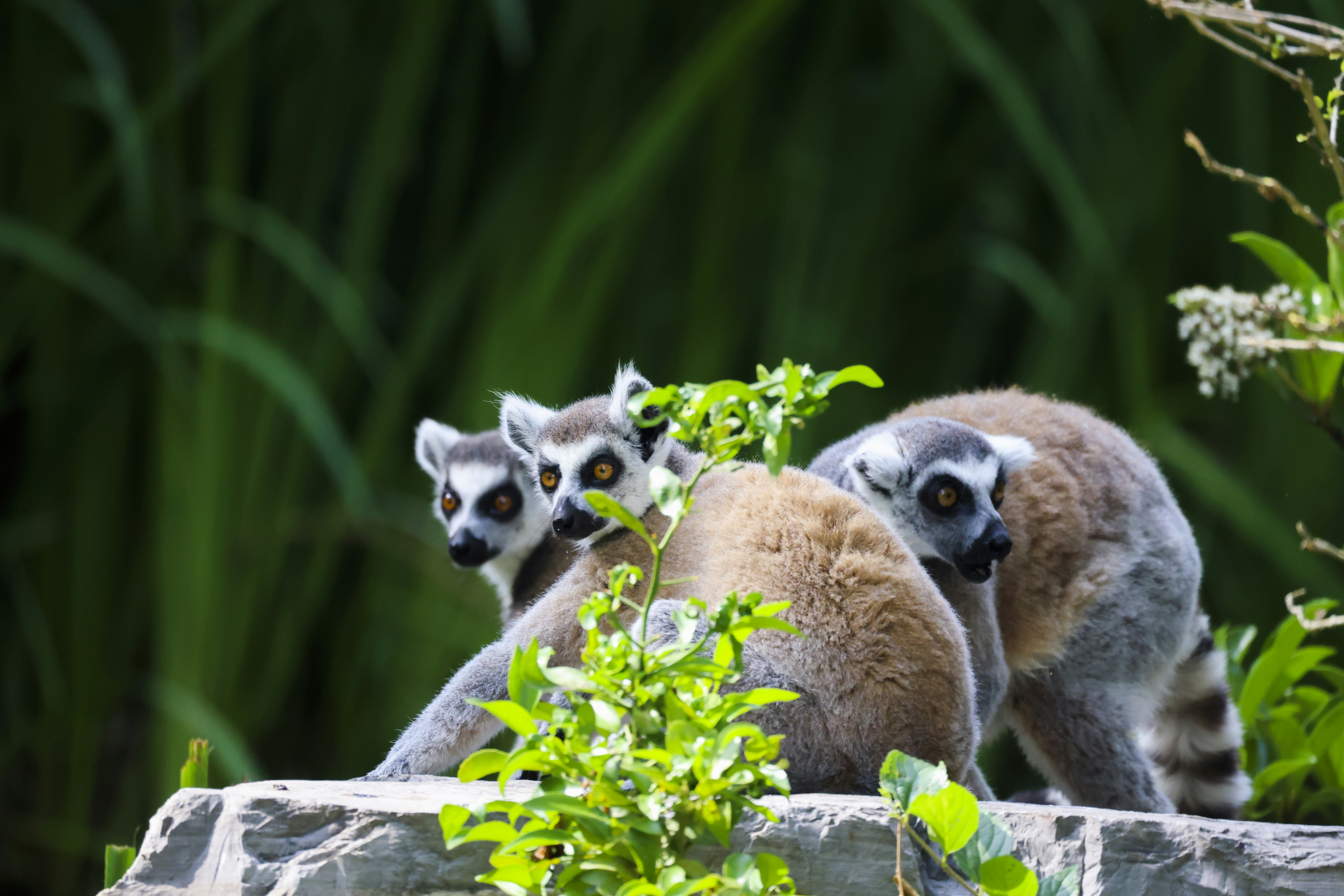 Photo by arttoinspire