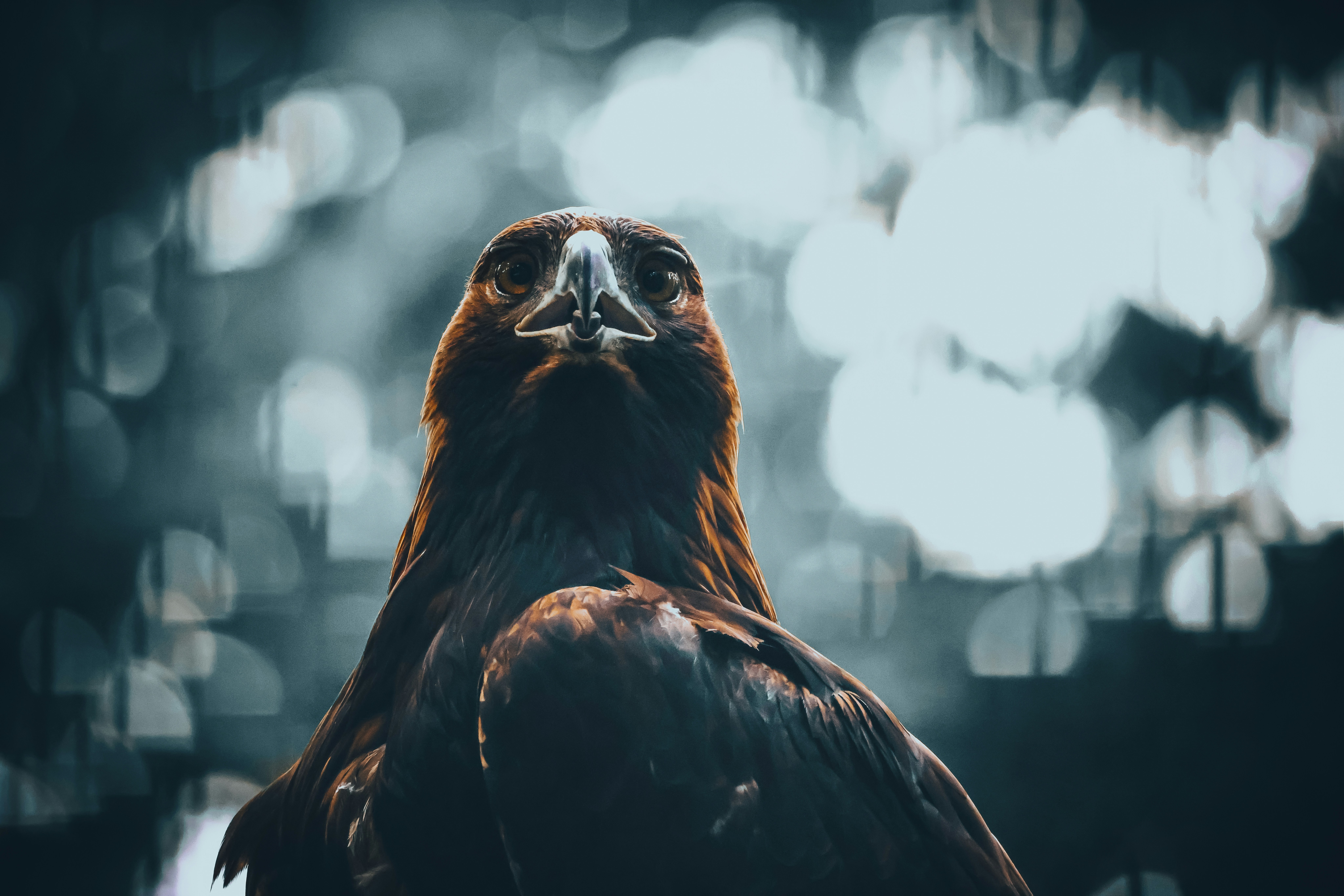 Photo by arttoinspire