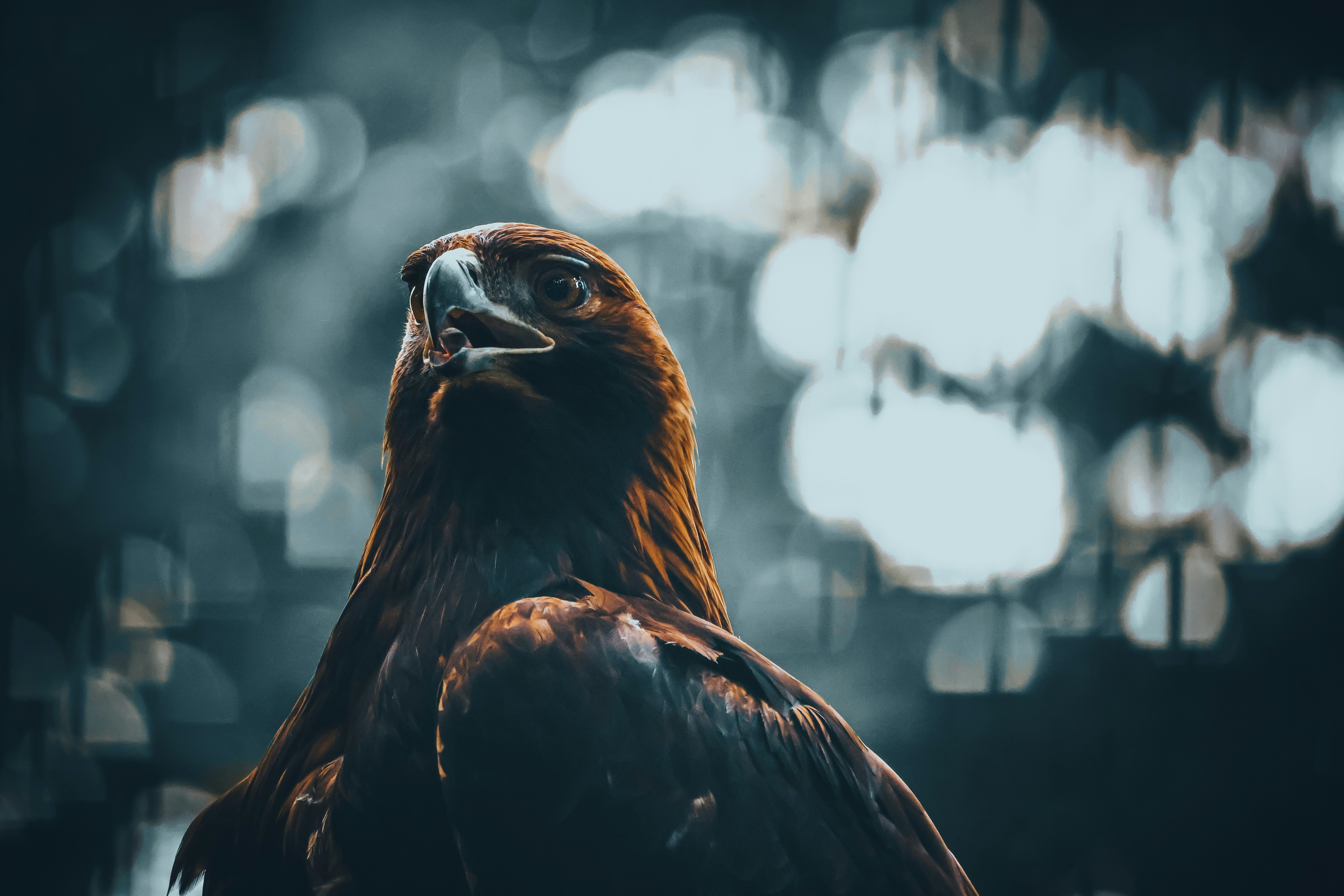 Photo by arttoinspire