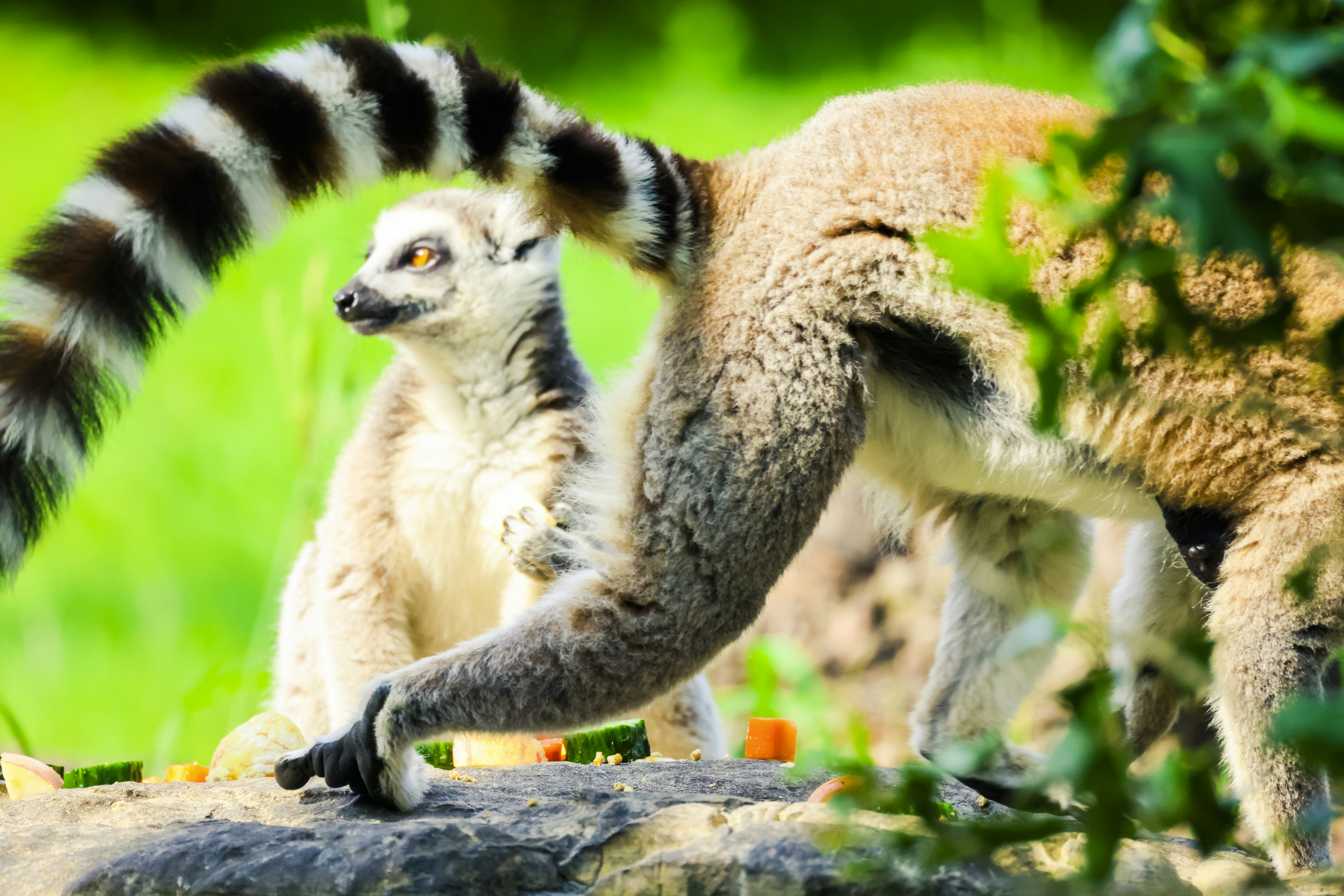 Photo by arttoinspire