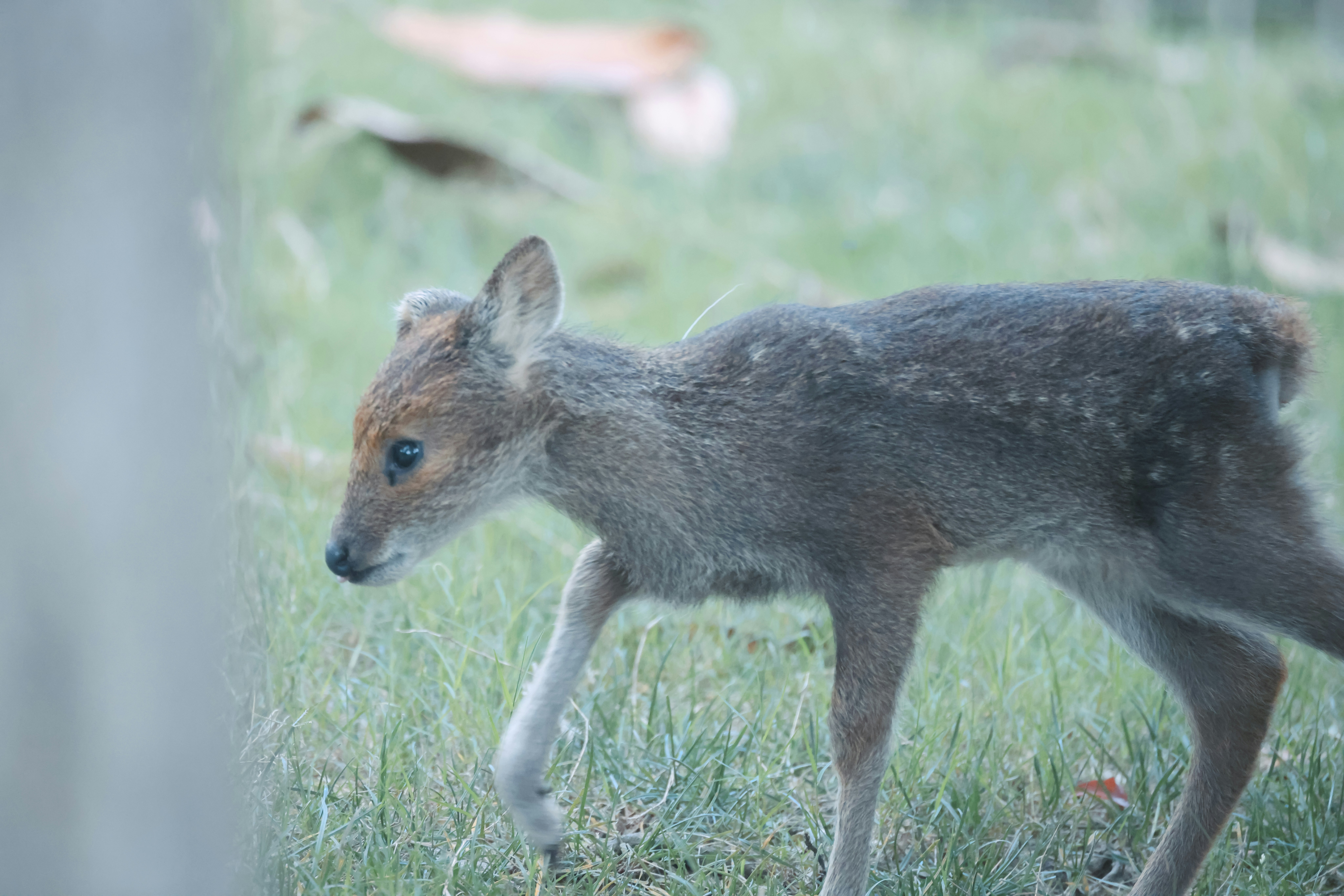 Photo by arttoinspire