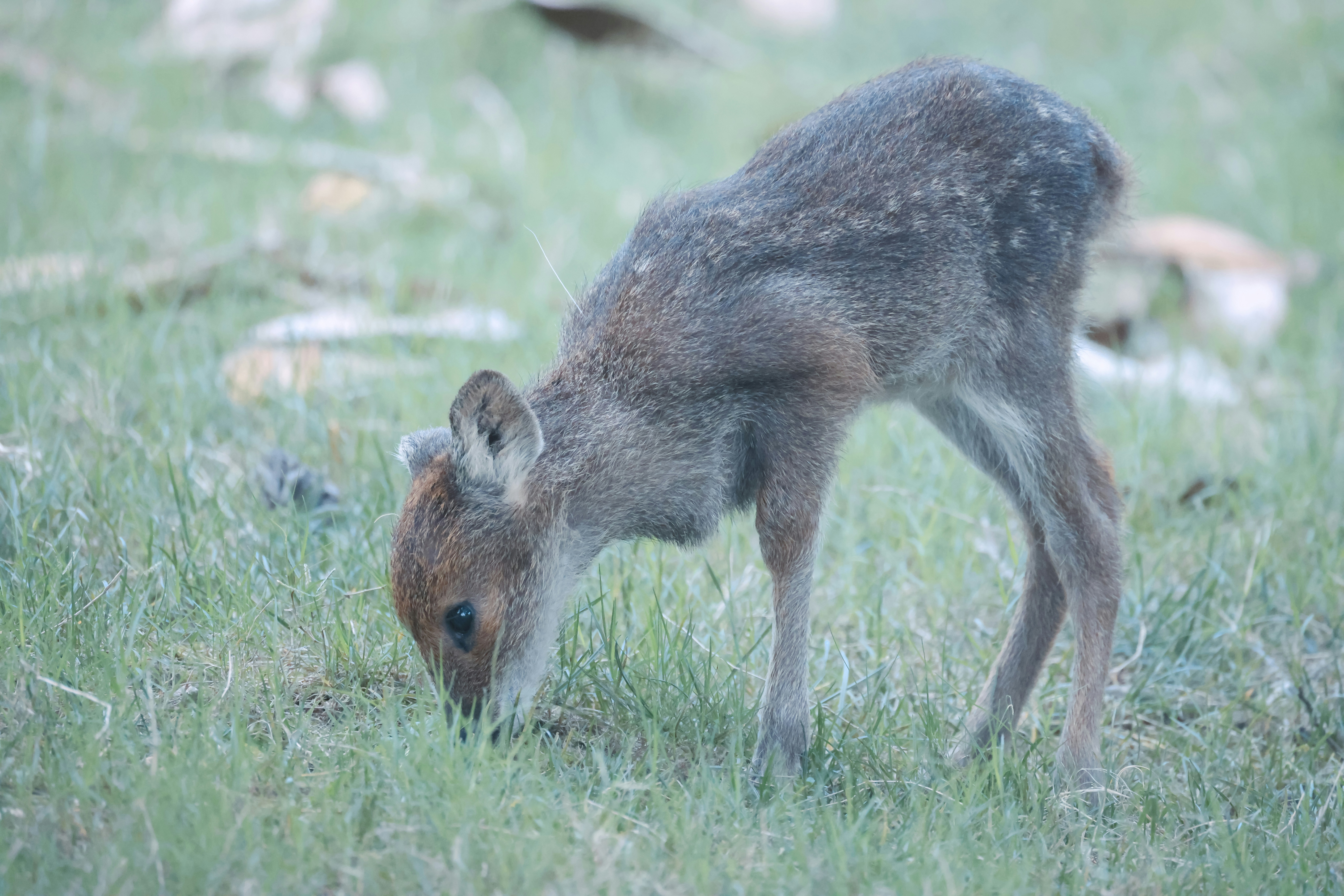 Photo by arttoinspire