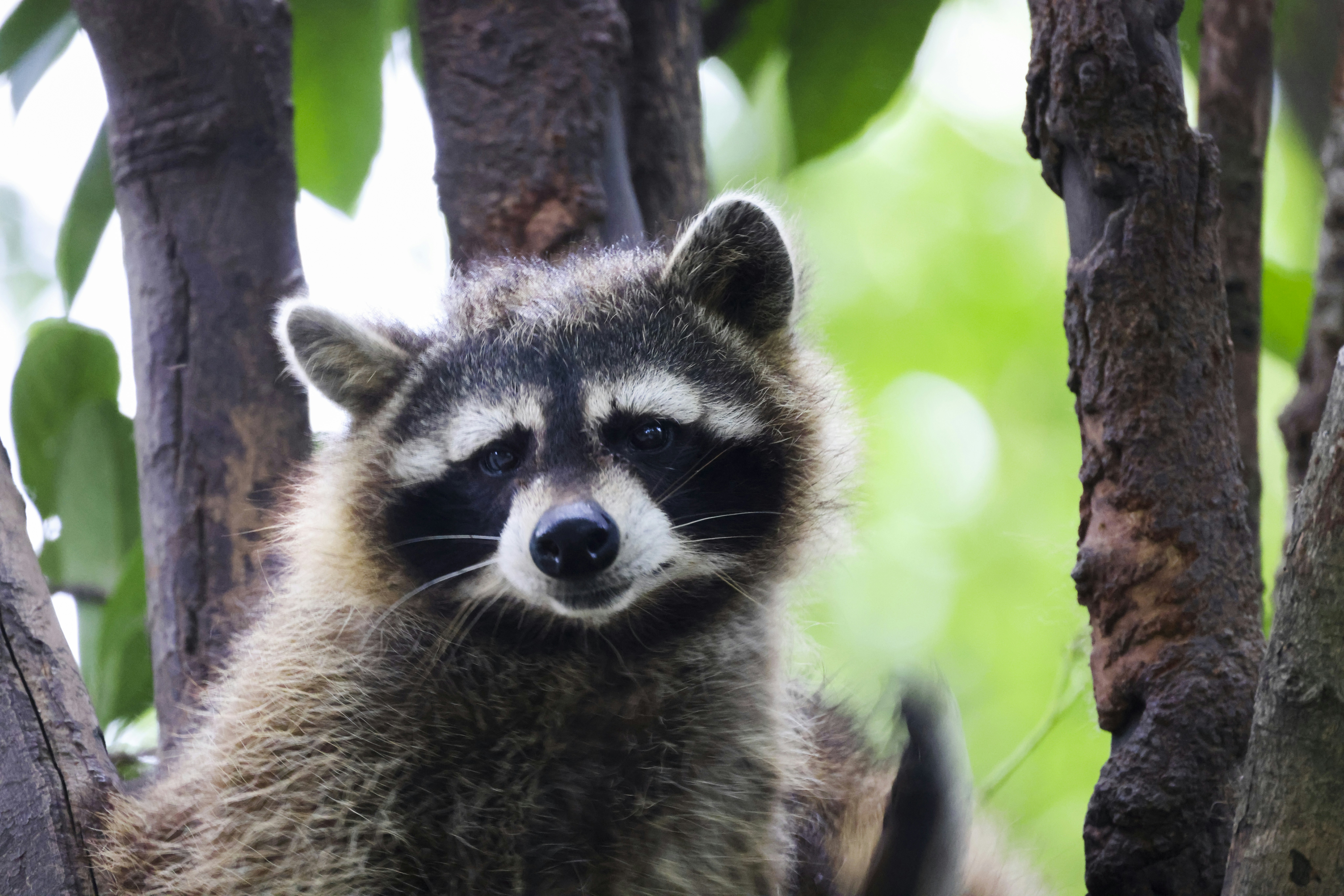 Photo by arttoinspire