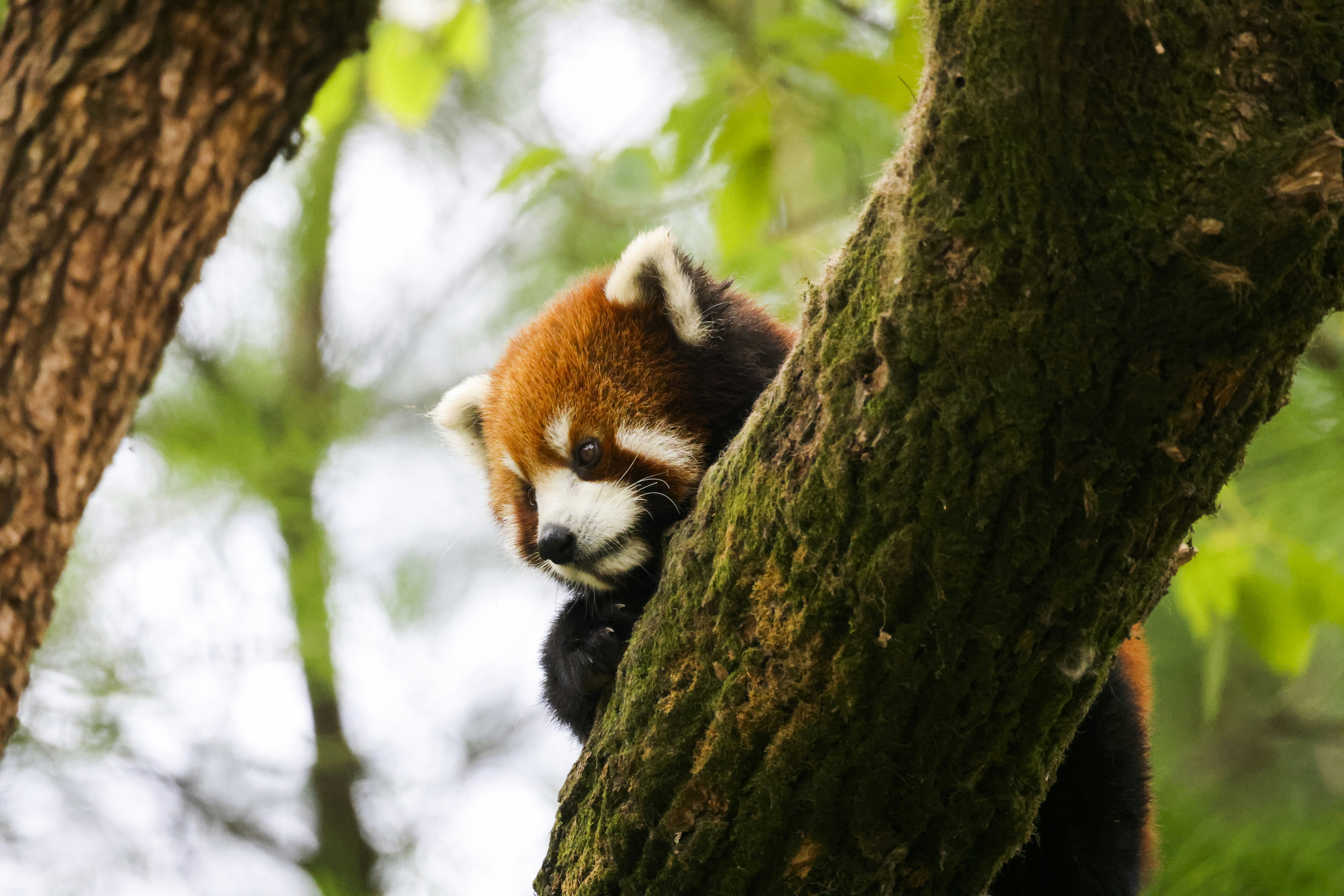 Photo by arttoinspire