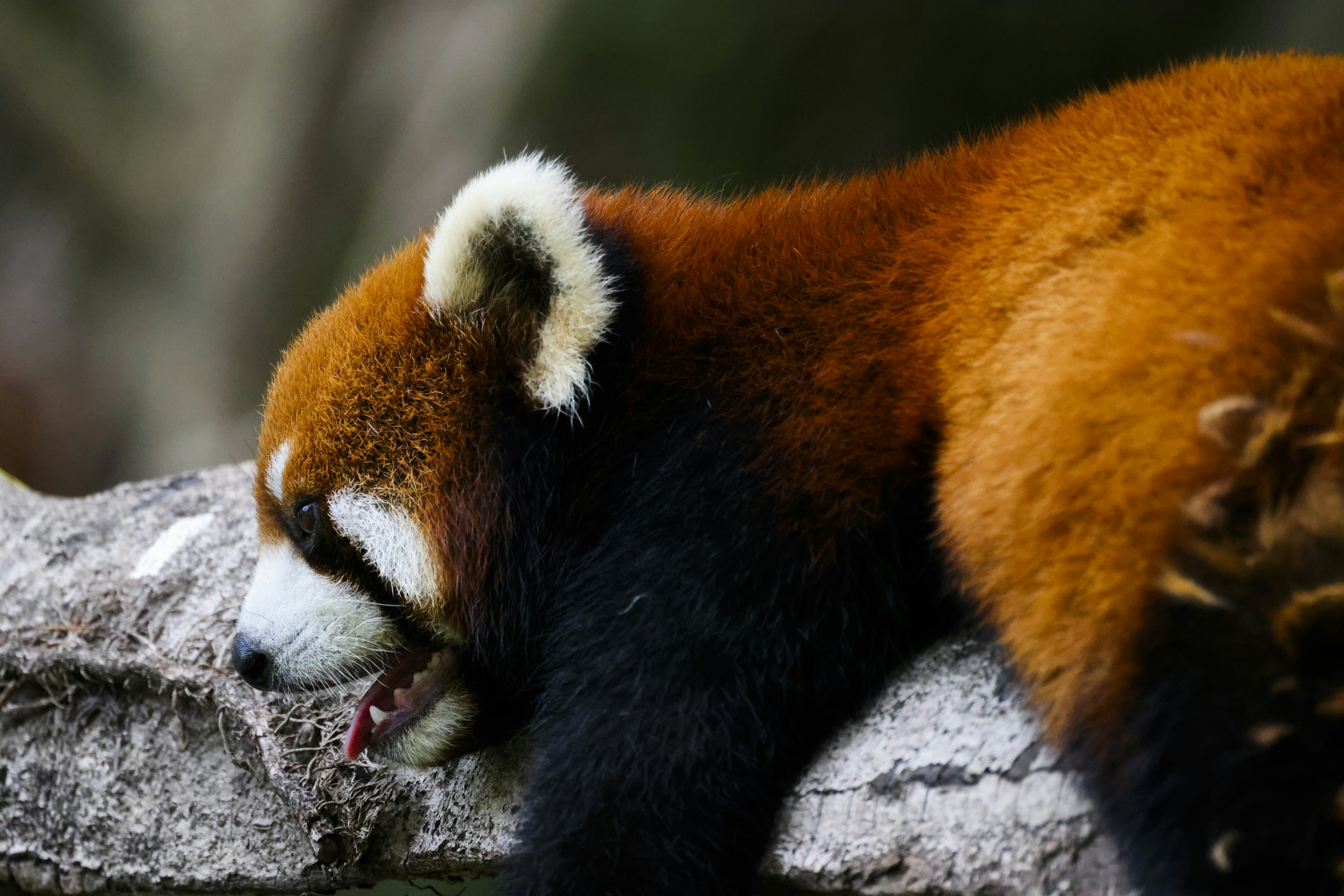 Photo by arttoinspire