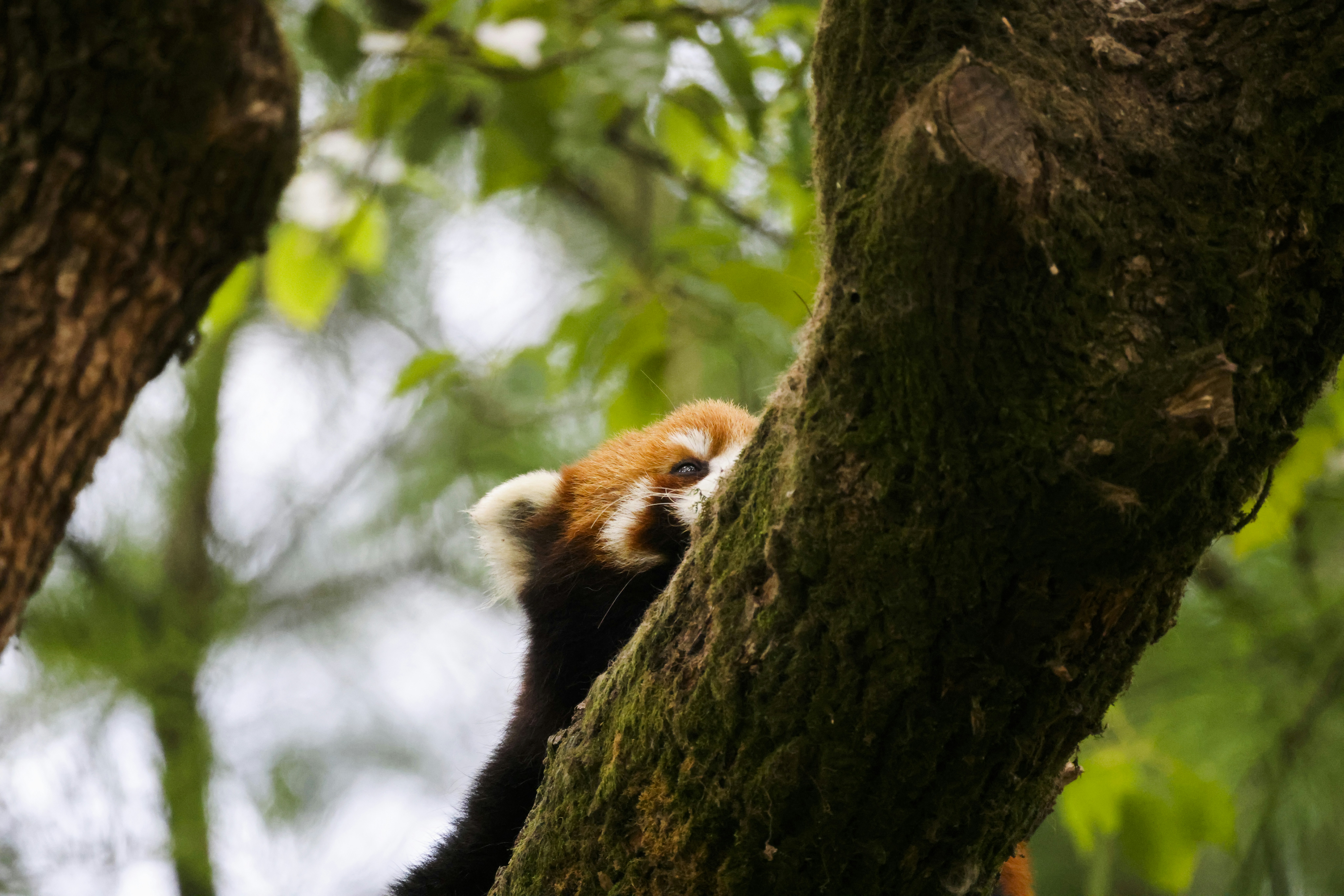 Photo by arttoinspire