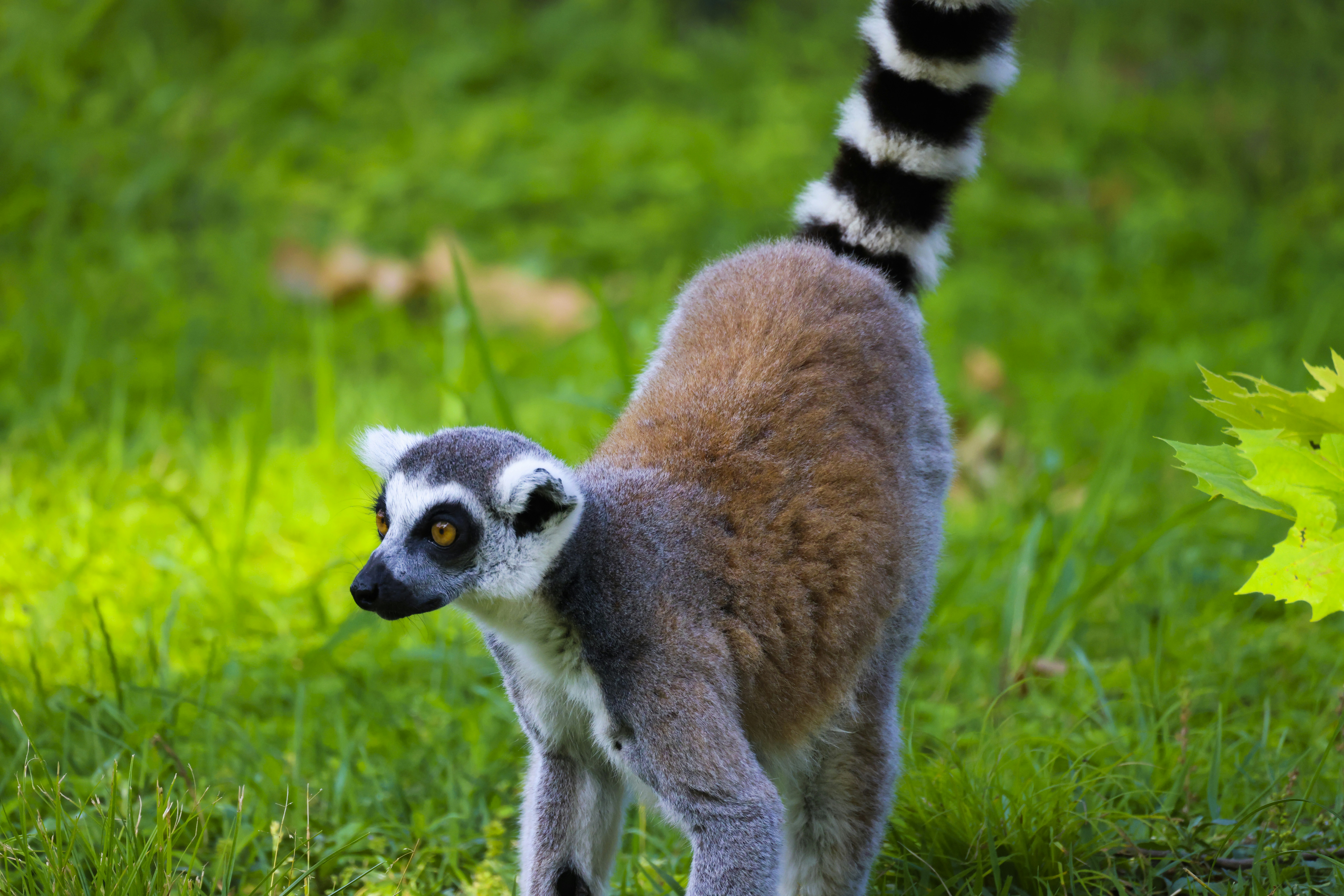 Photo by arttoinspire