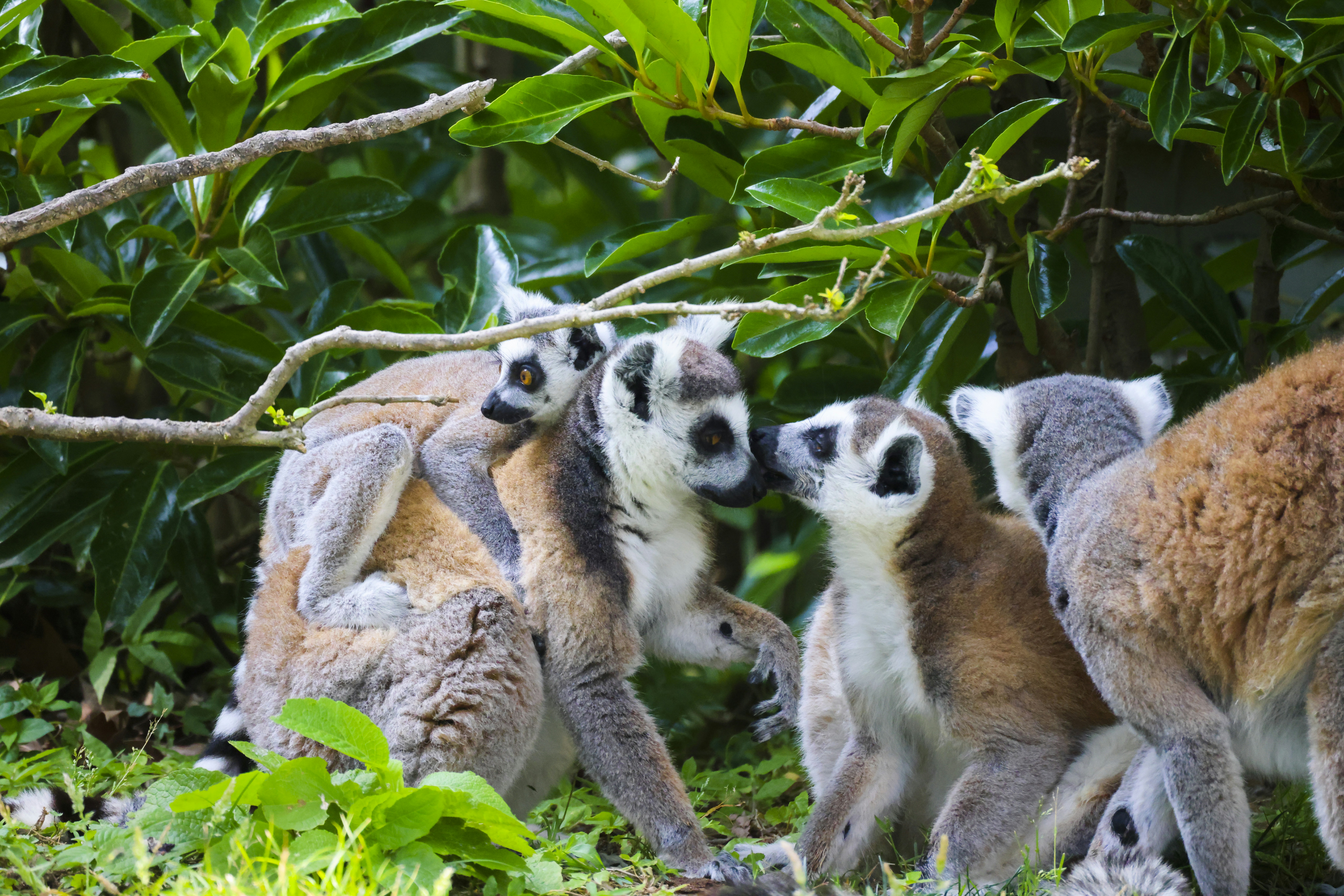 Photo by arttoinspire