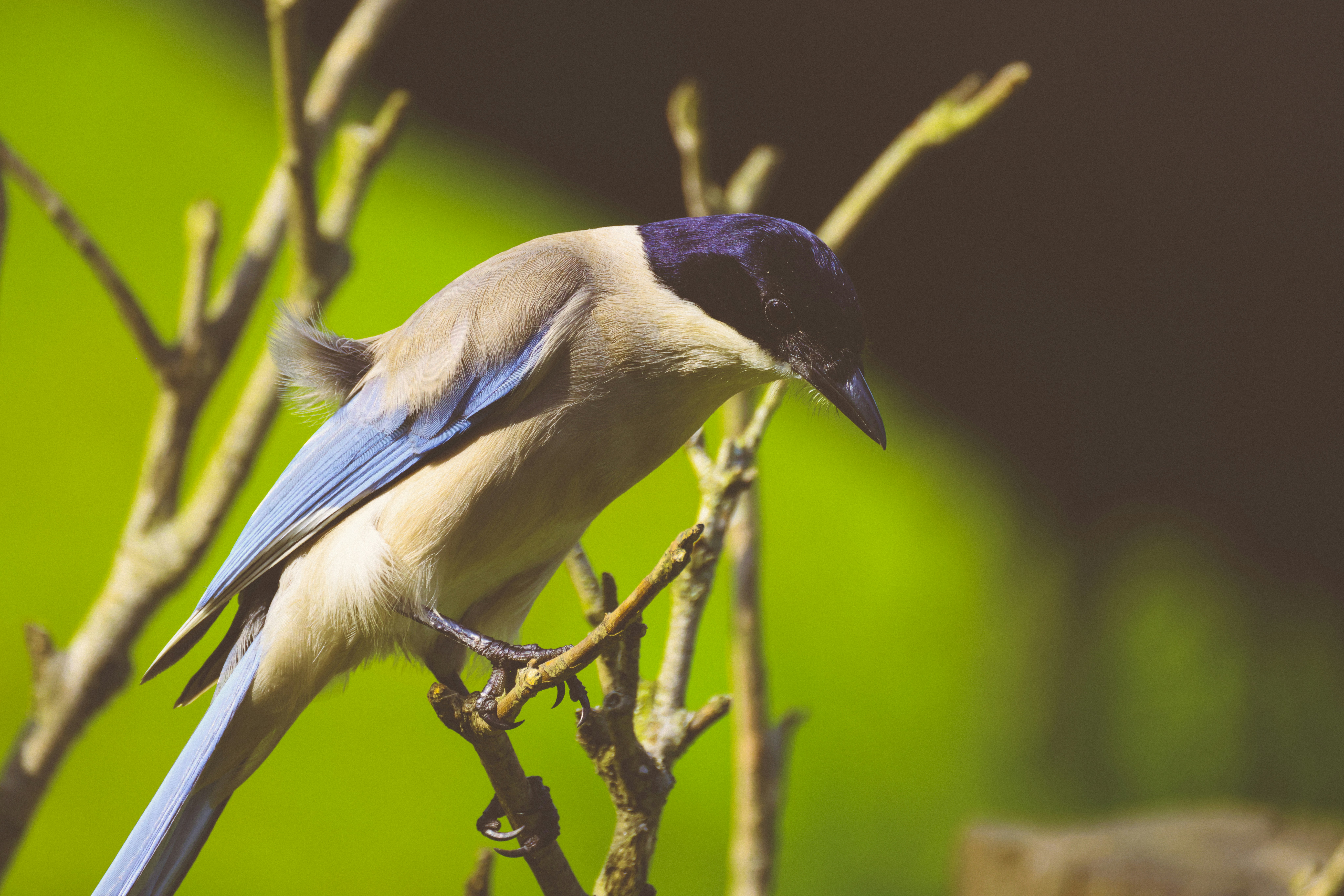 Photo by arttoinspire