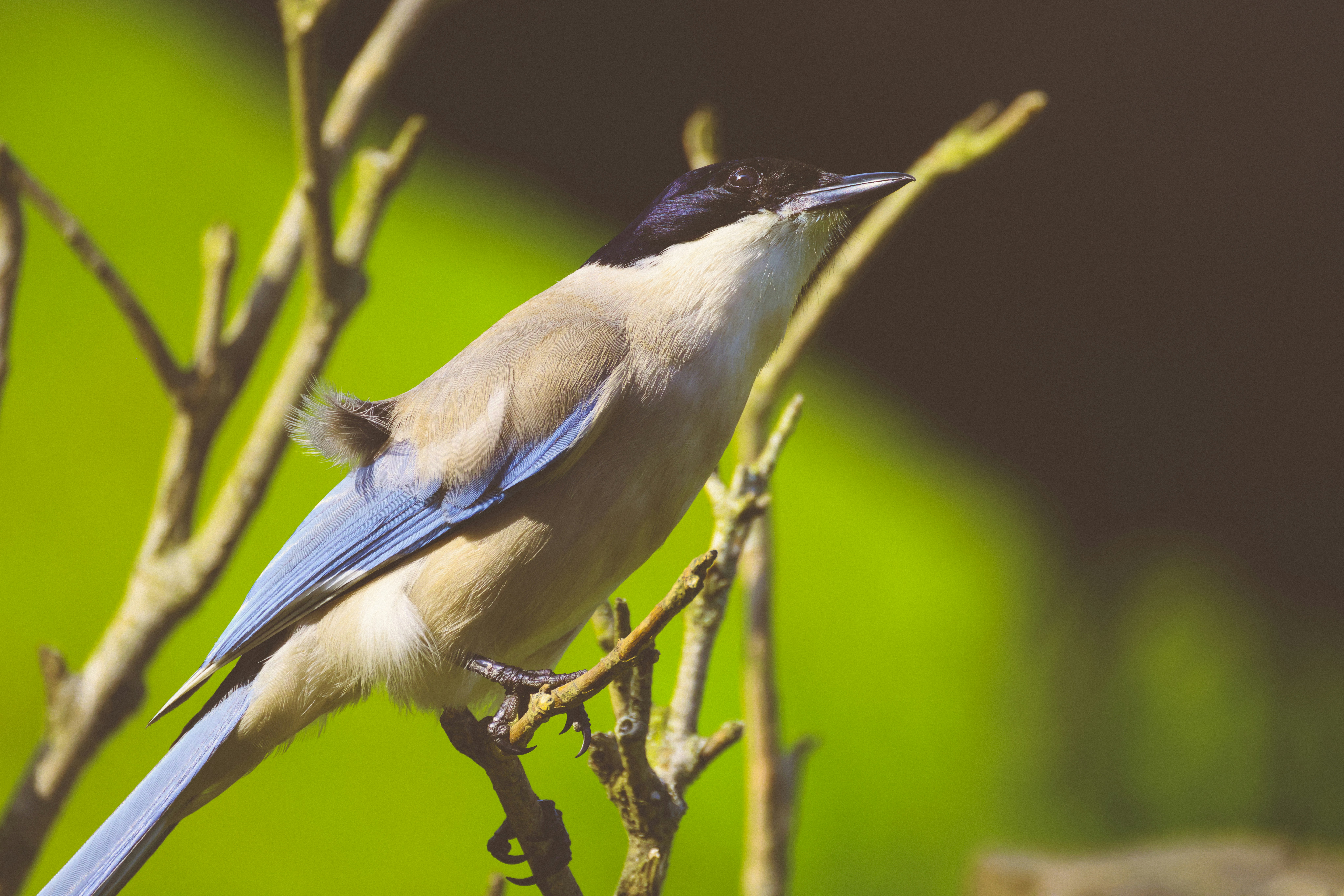 Photo by arttoinspire