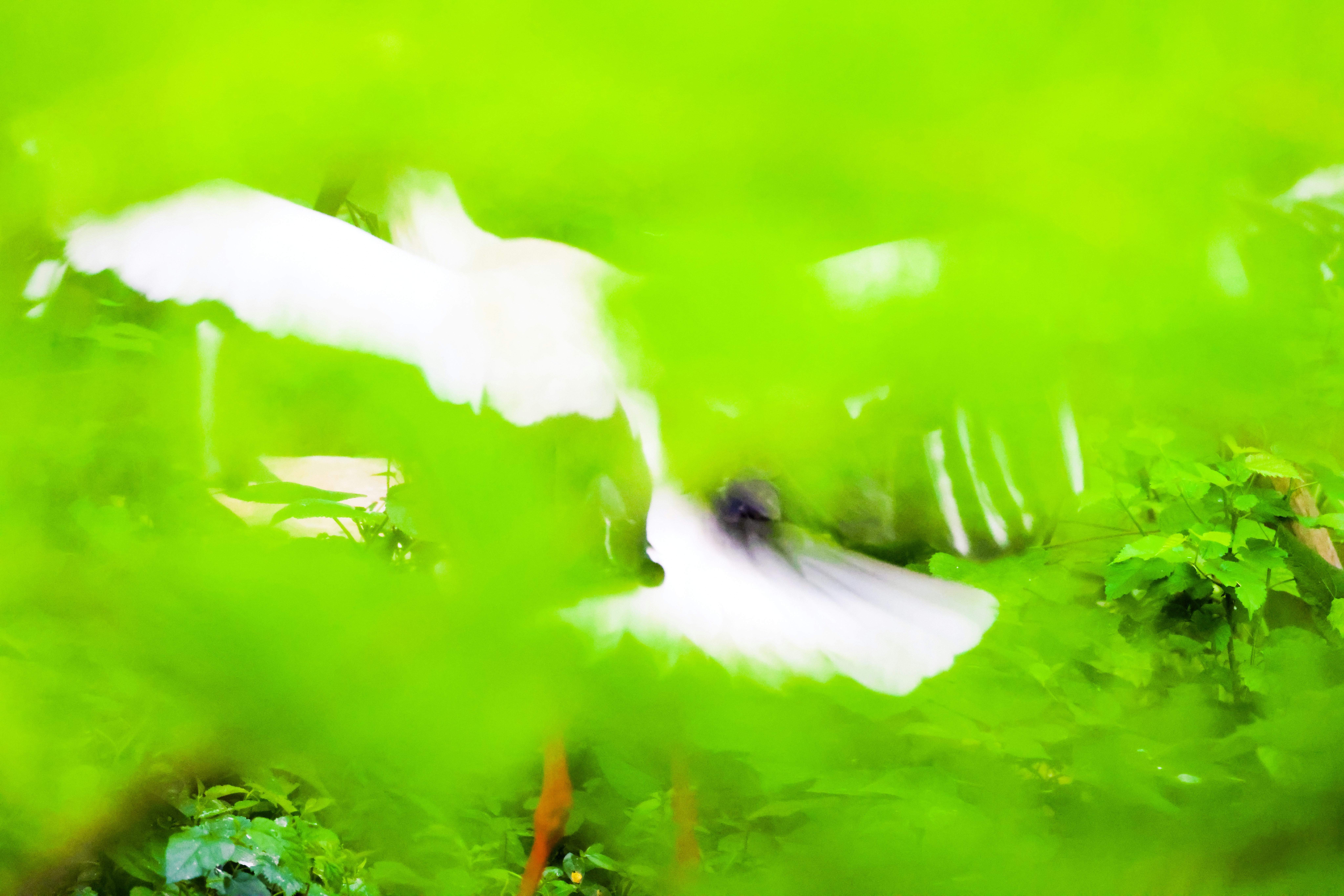 Photo by arttoinspire