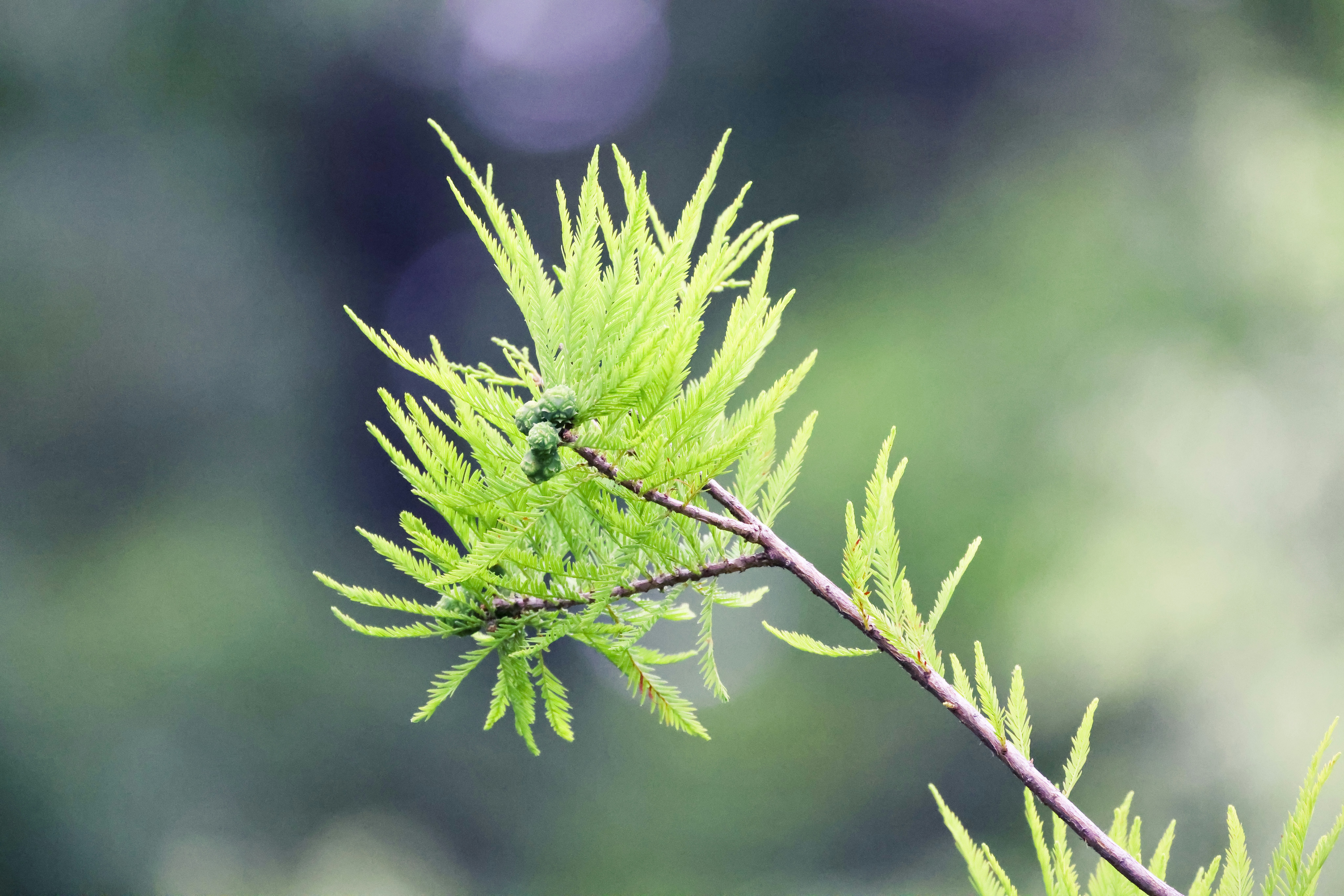 Photo by arttoinspire